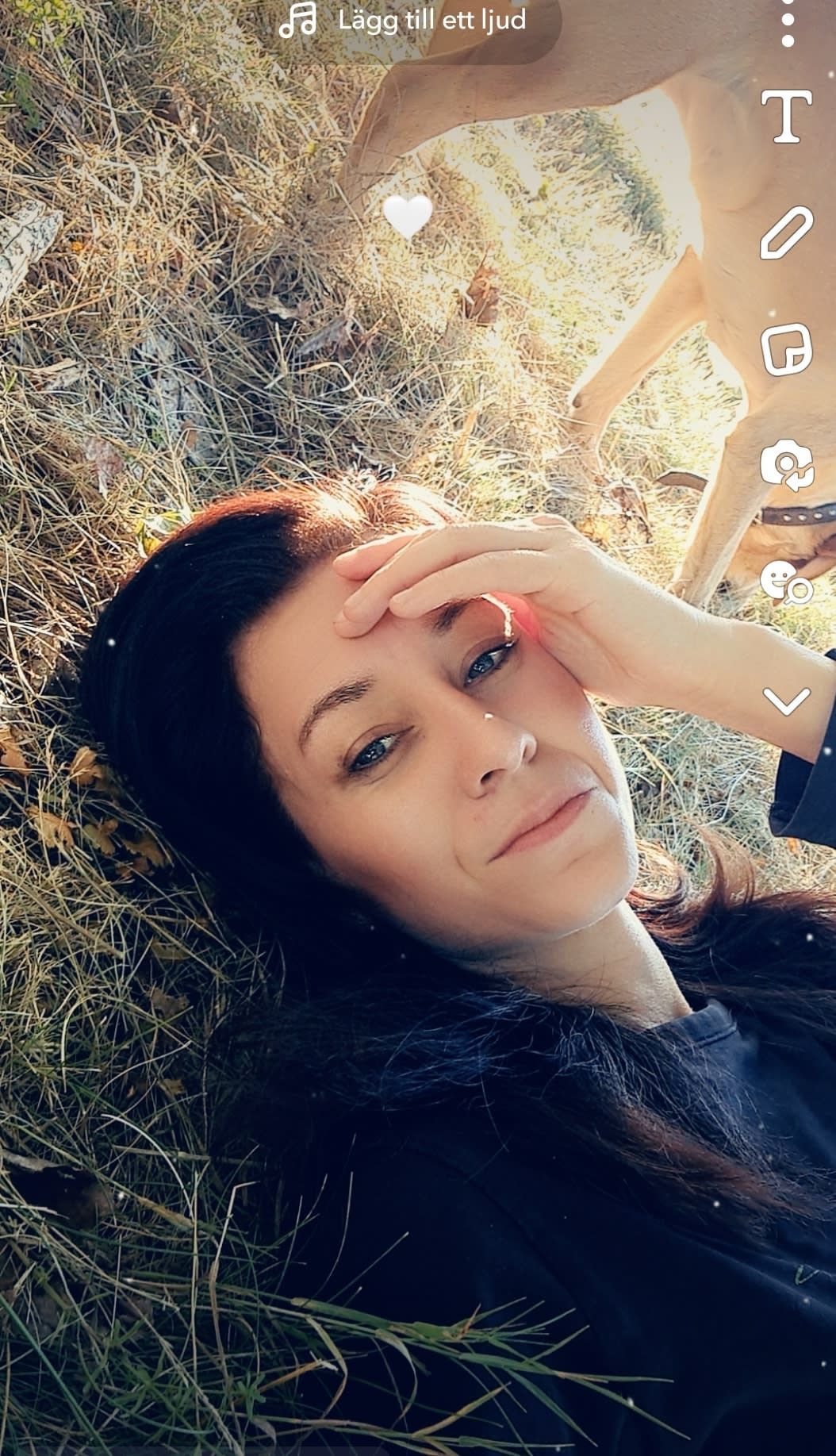 bild 0}