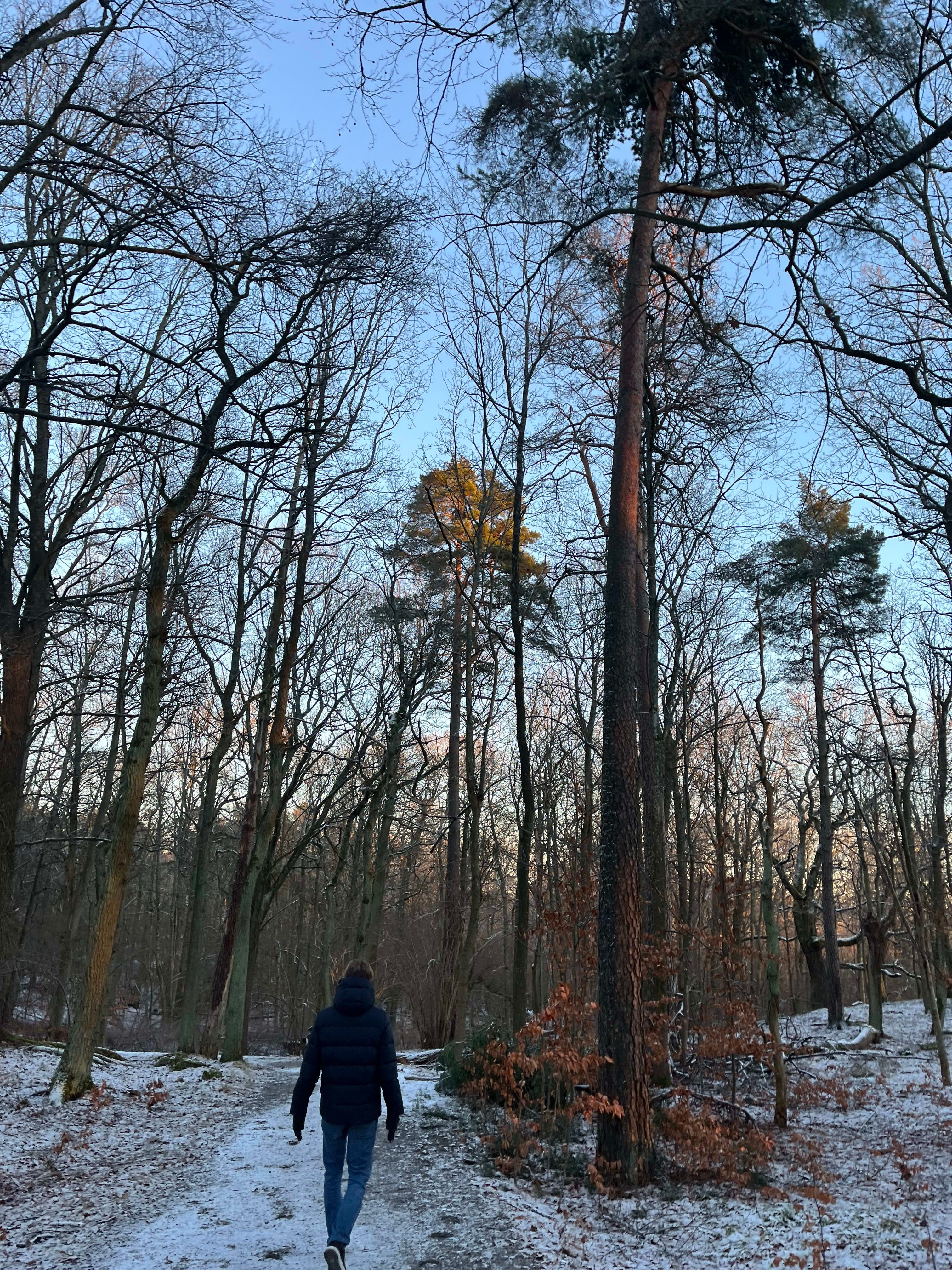 bild 4}