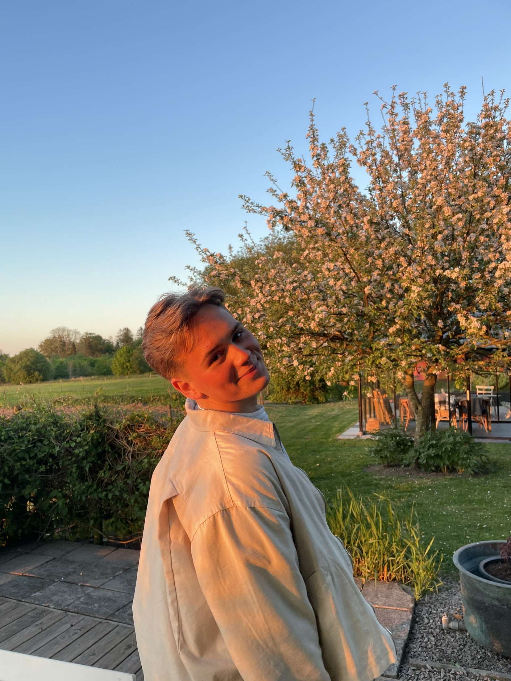bild 0}