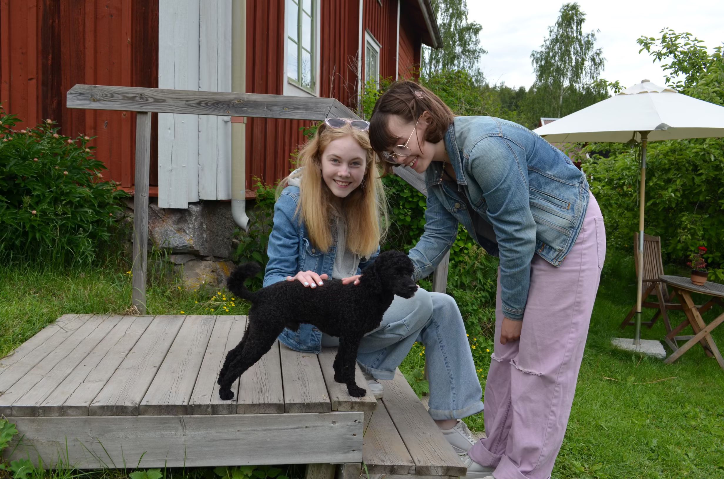 bild 4}