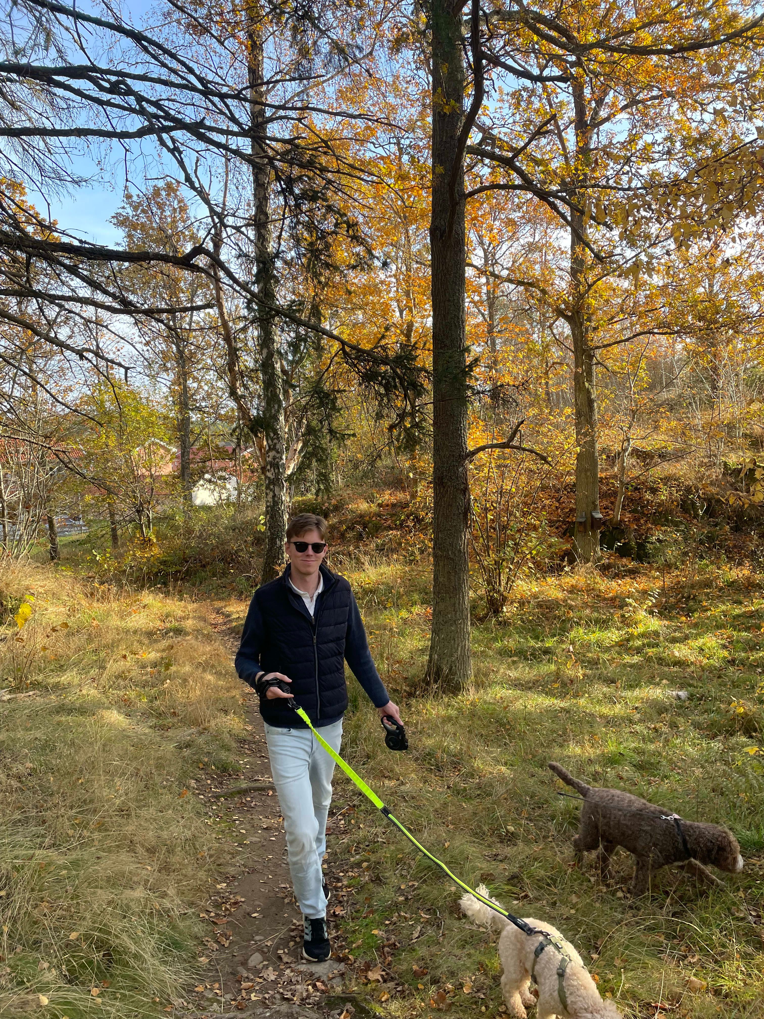 bild 2}
