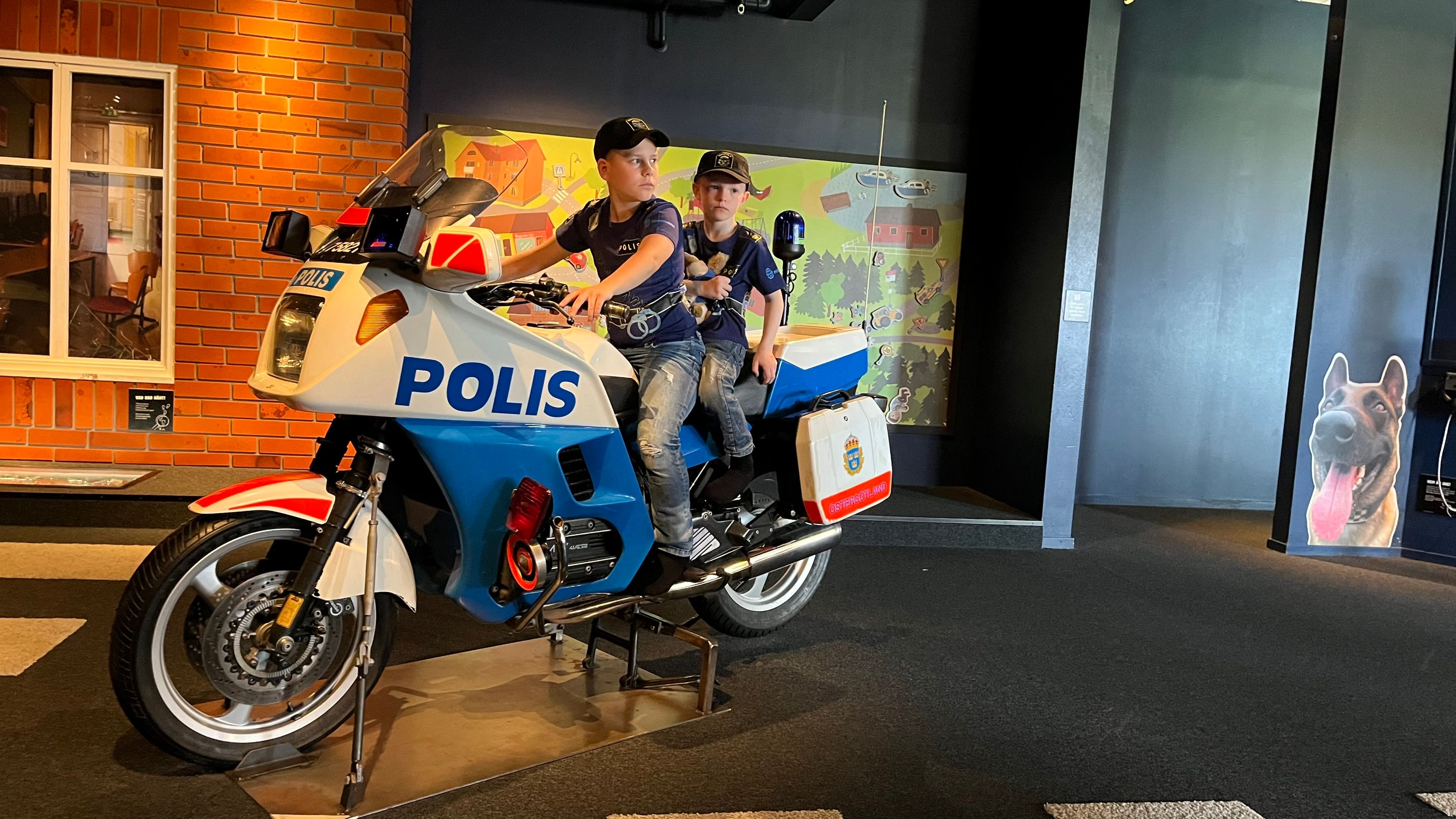 bild 1}