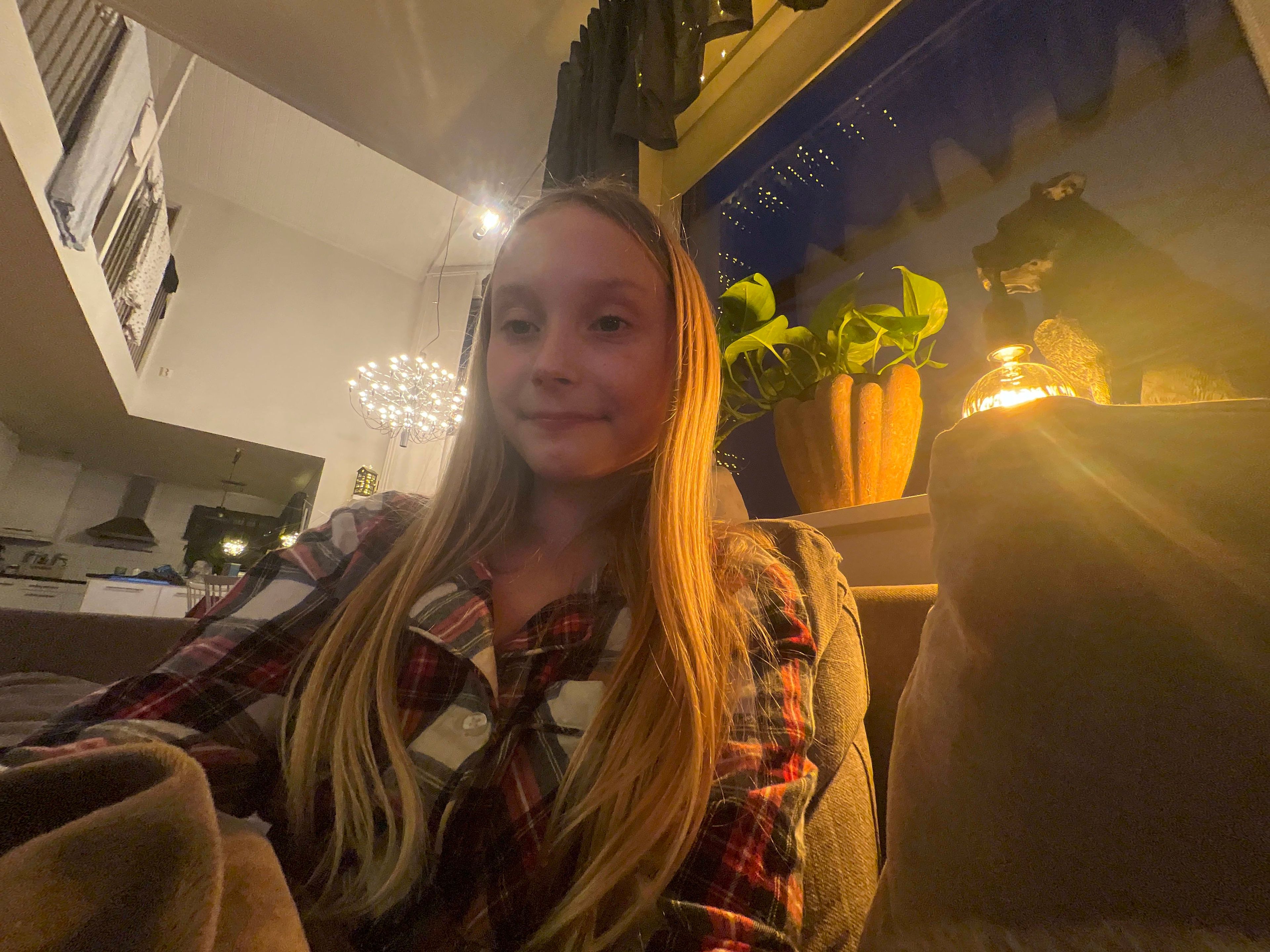 bild 2}