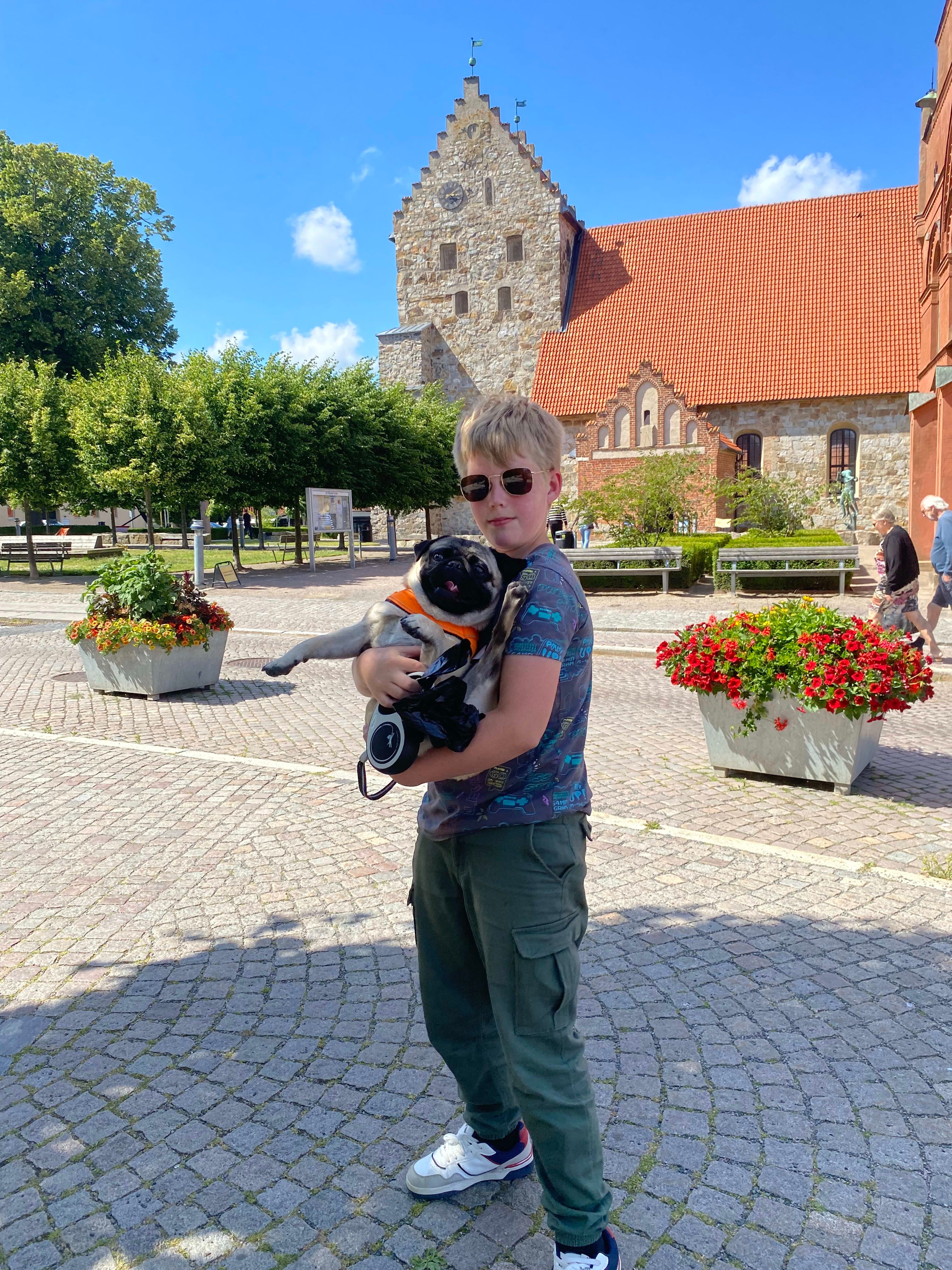 bild 0}