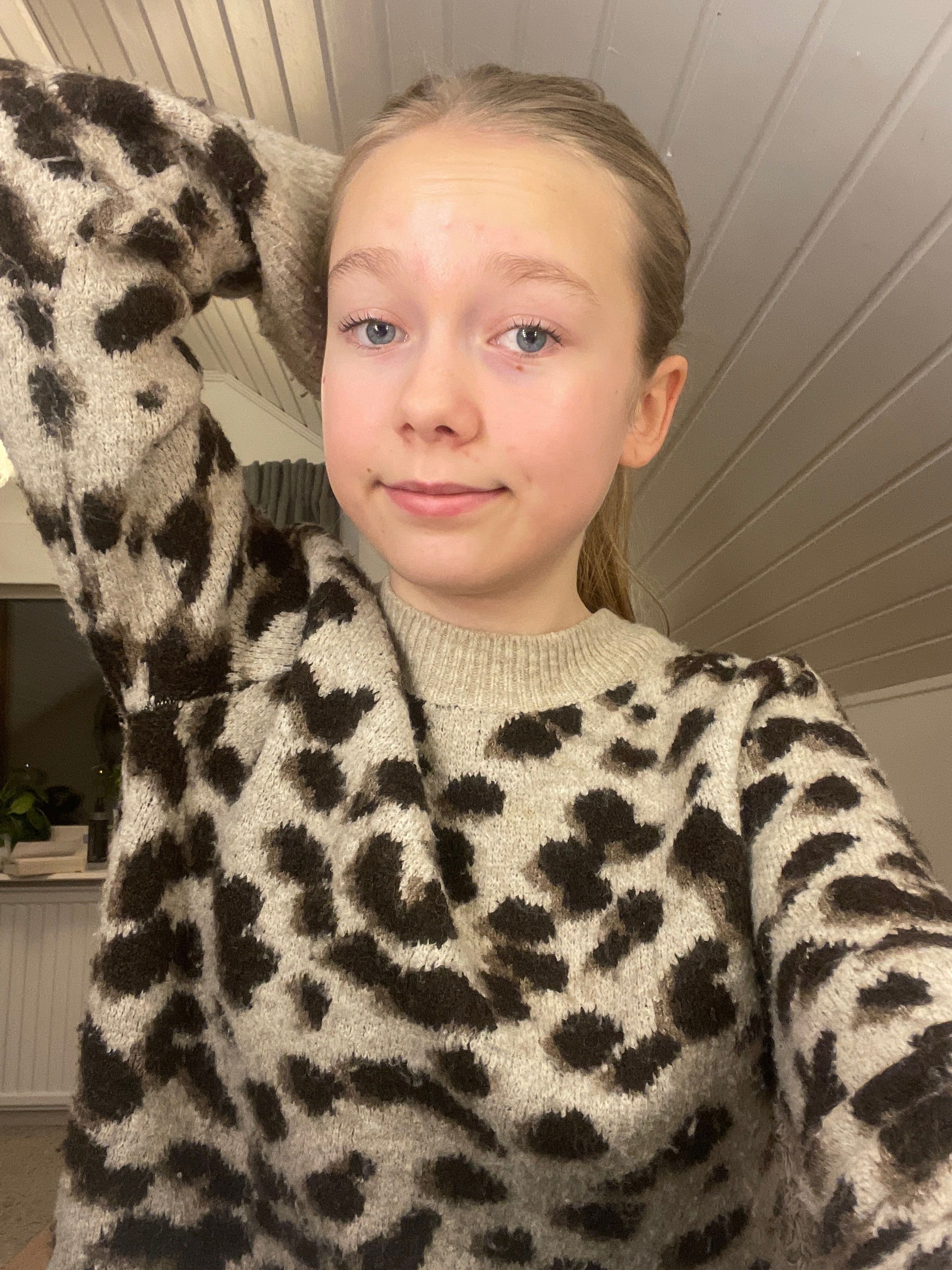 bild 1}