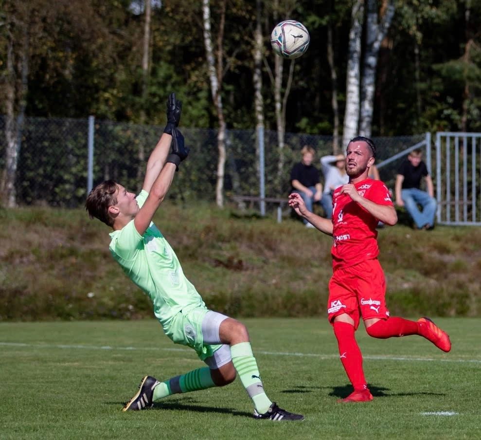 bild 0}