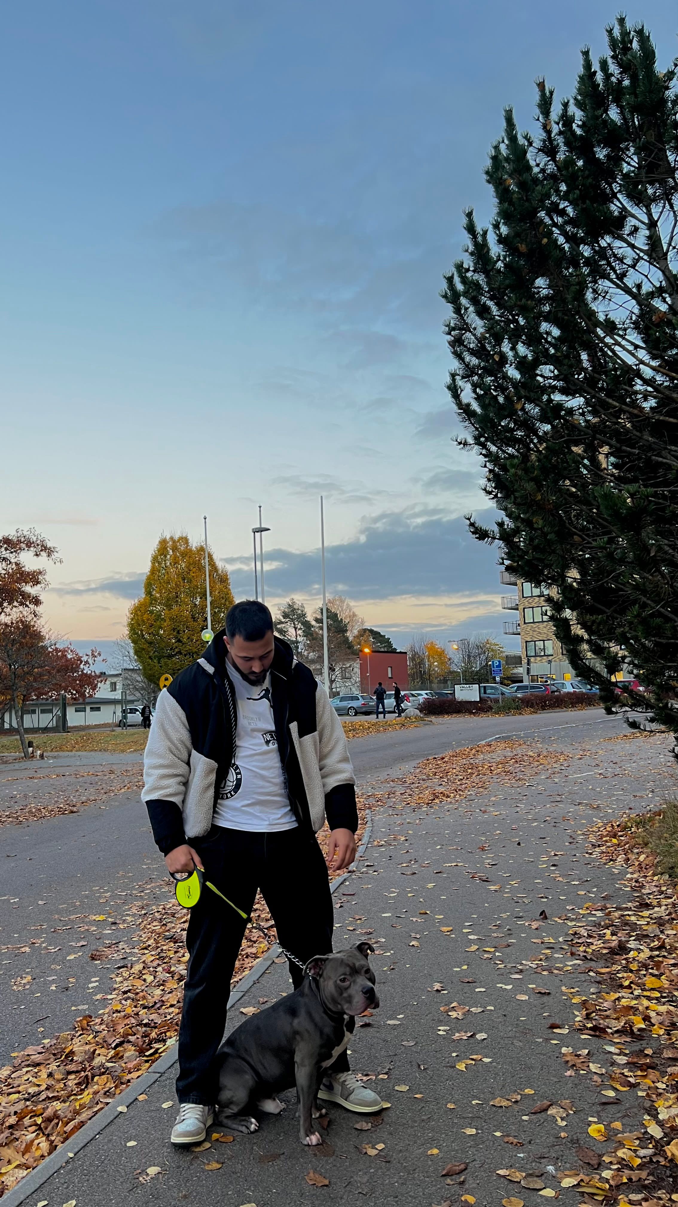 bild 2}