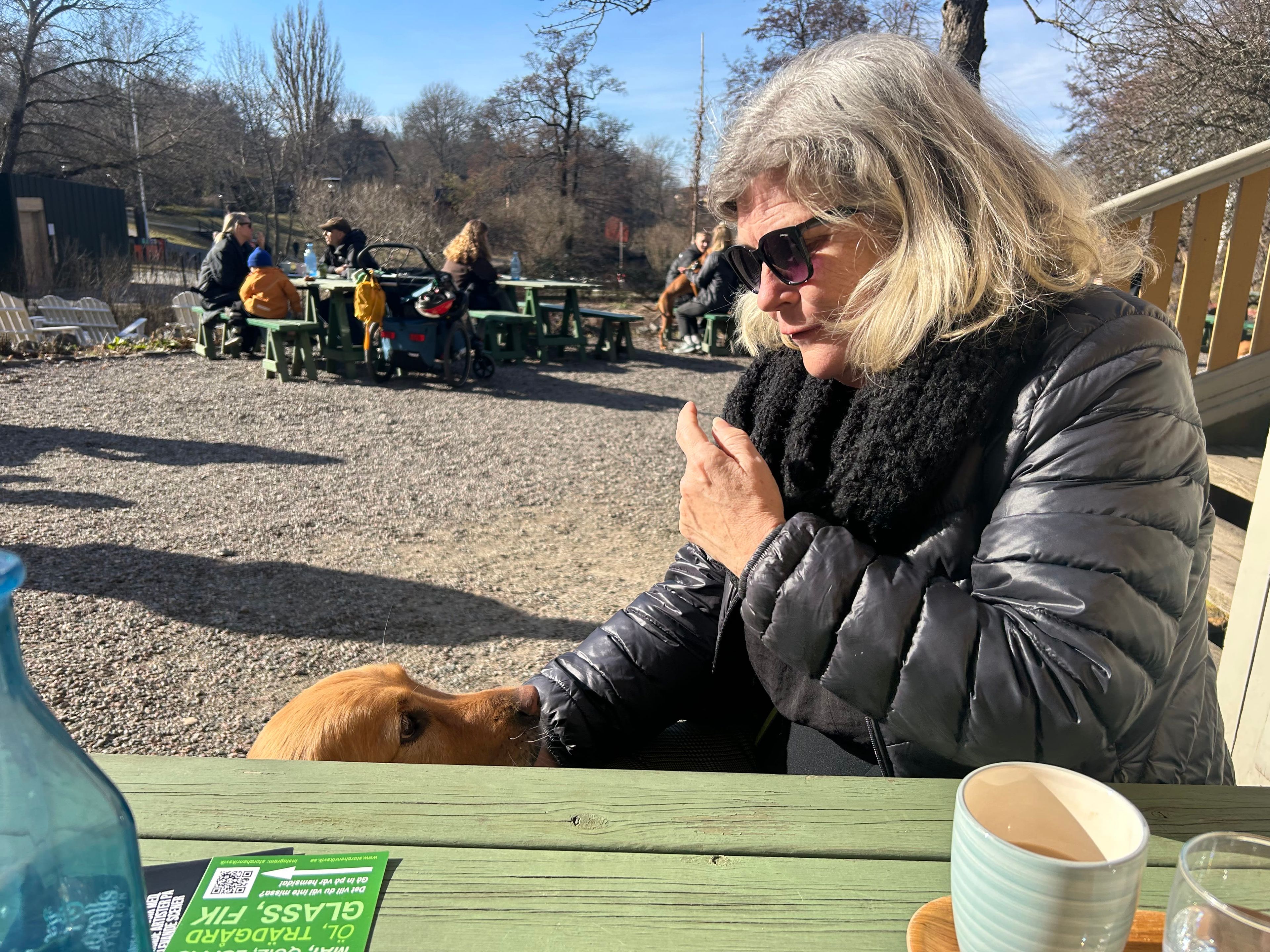 bild 0}