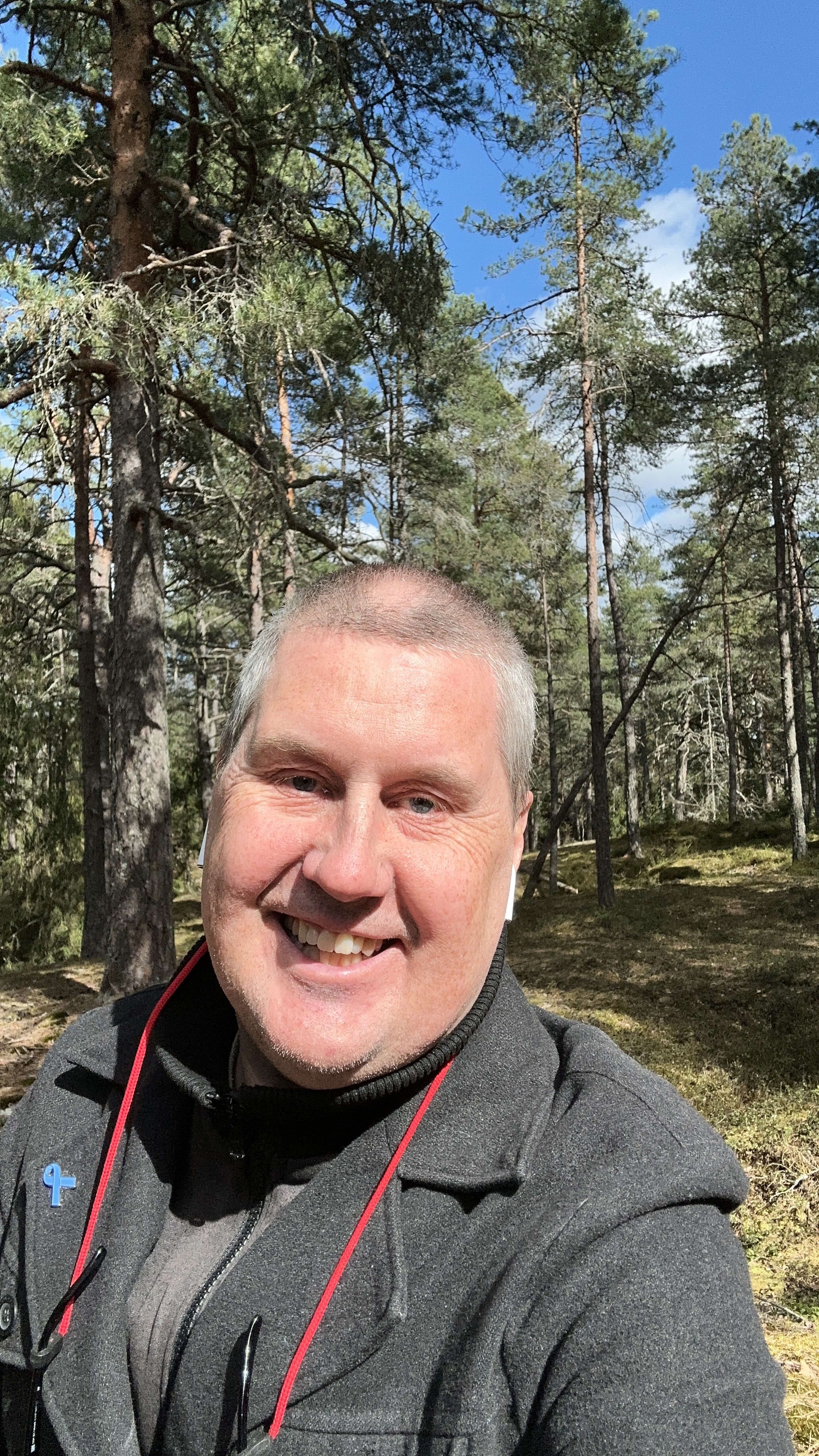 bild 0}