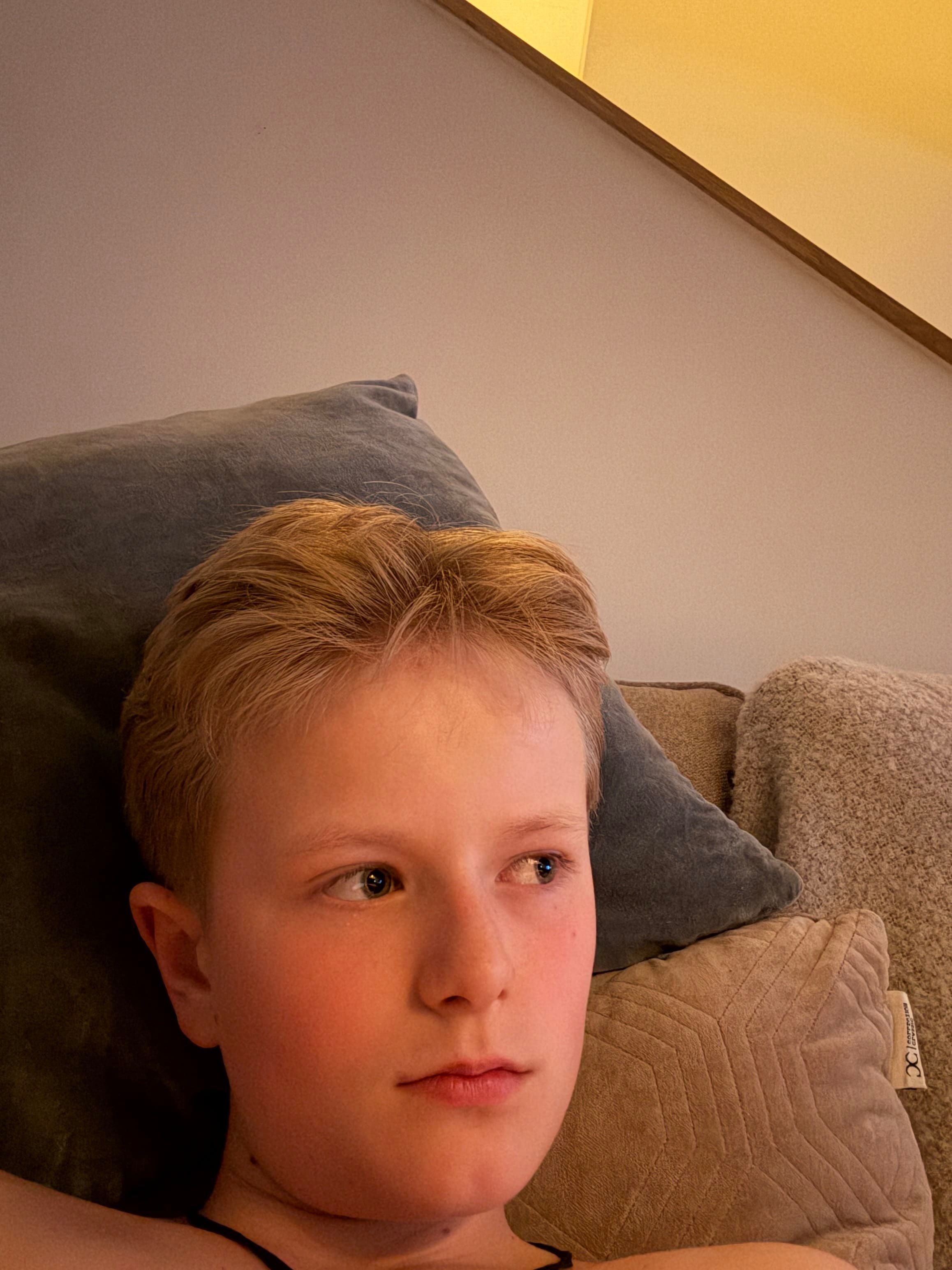 bild 0}