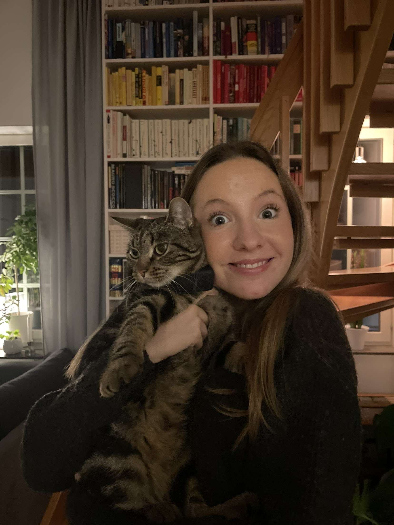 bild 0}