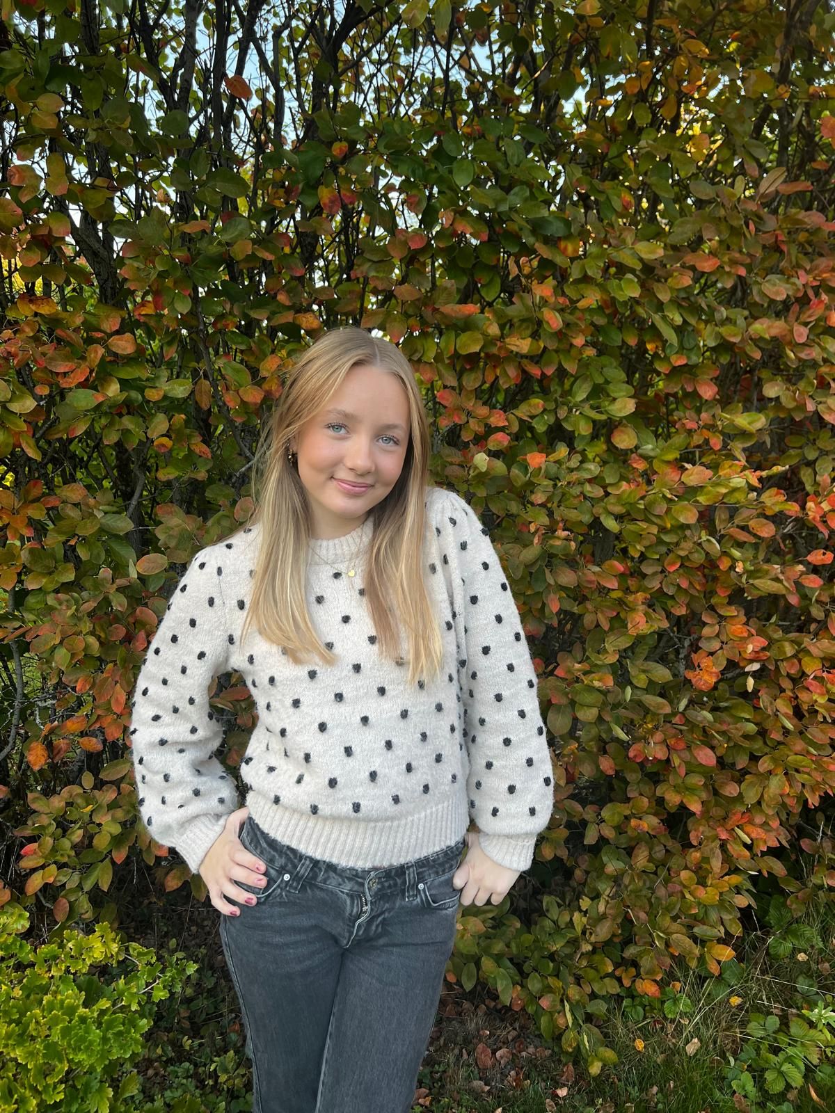 bild 0}