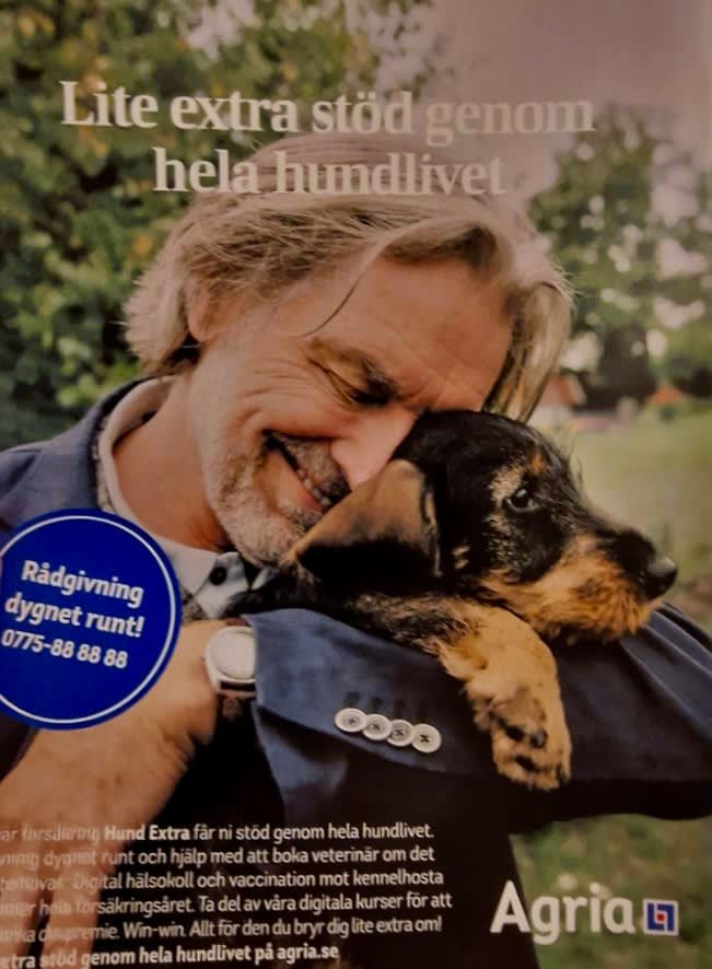 bild 0}