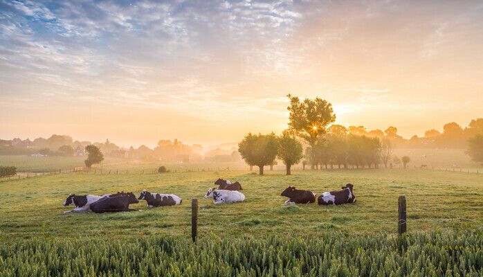Hus/ Herrgård / Slott  sökes för fotografering 
