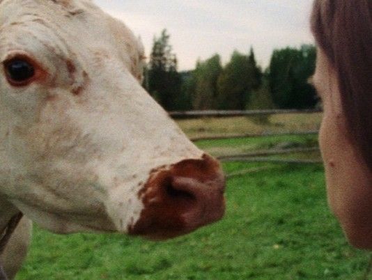 Tjej 9-13 år till långfilm i Norrbotten