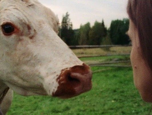 STATISTER SÖKES TILL LÅNGFILMEN LIFSENS ROT (Västernorrland)