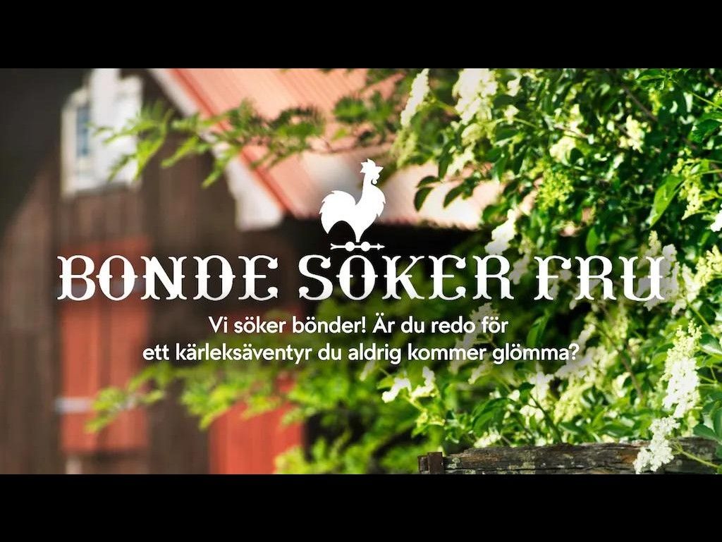 Singel Bonde sökes för TV-program om kärlek