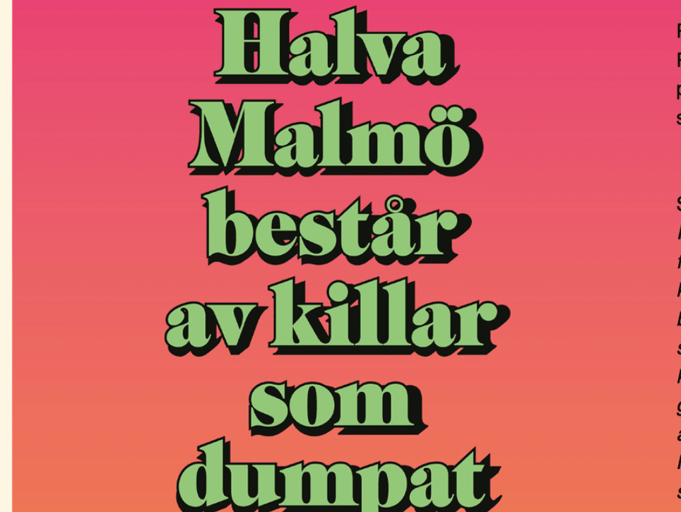 BLOTTARE SÖKES TILL NETFLIX SERIEN HALVA MALMÖ BESTÅR AV KILLAR SOM DUMPAT MIG