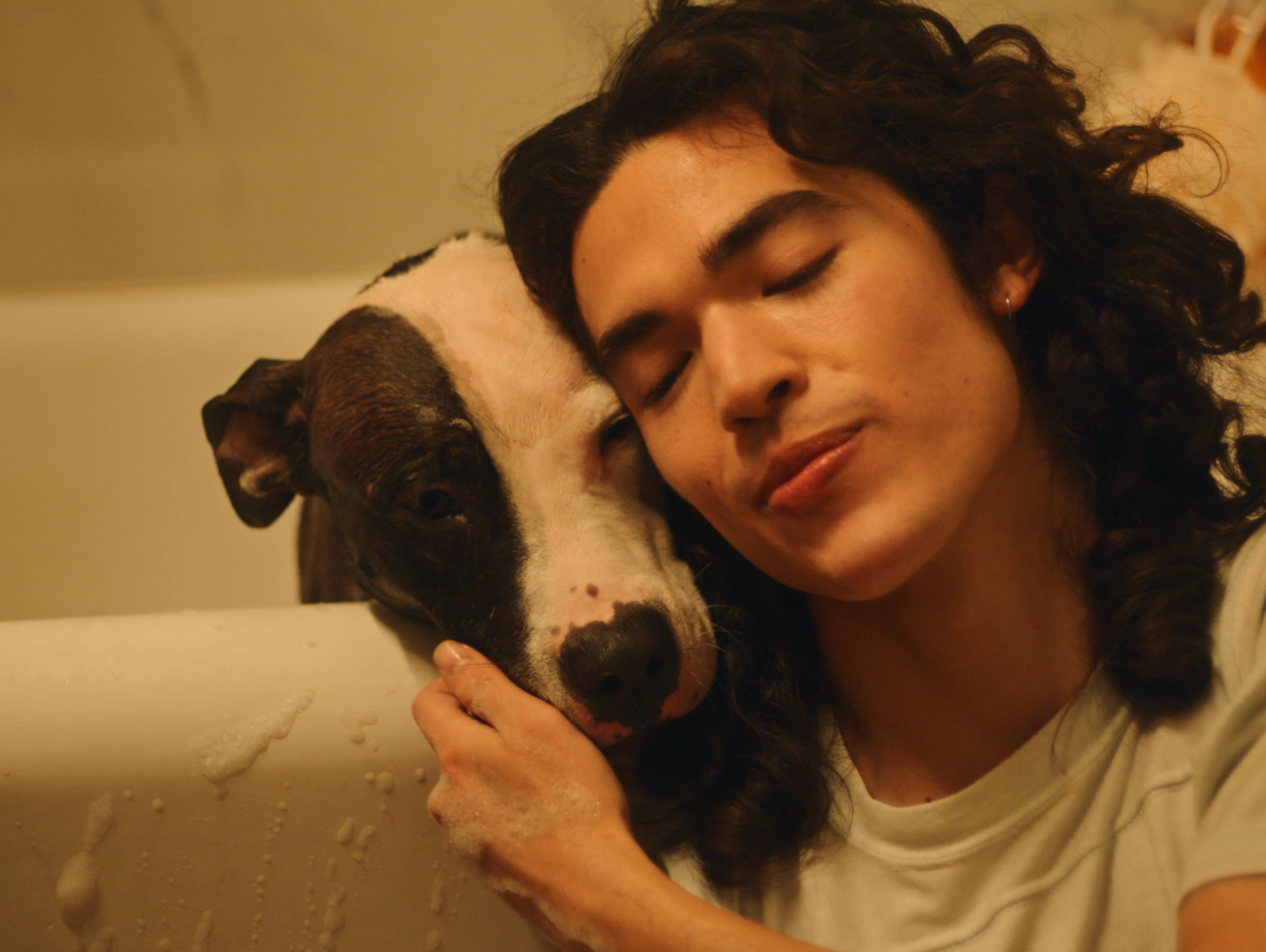 Glad och djur bekväm man / kille sökes till reklamfilm för djurbutik.