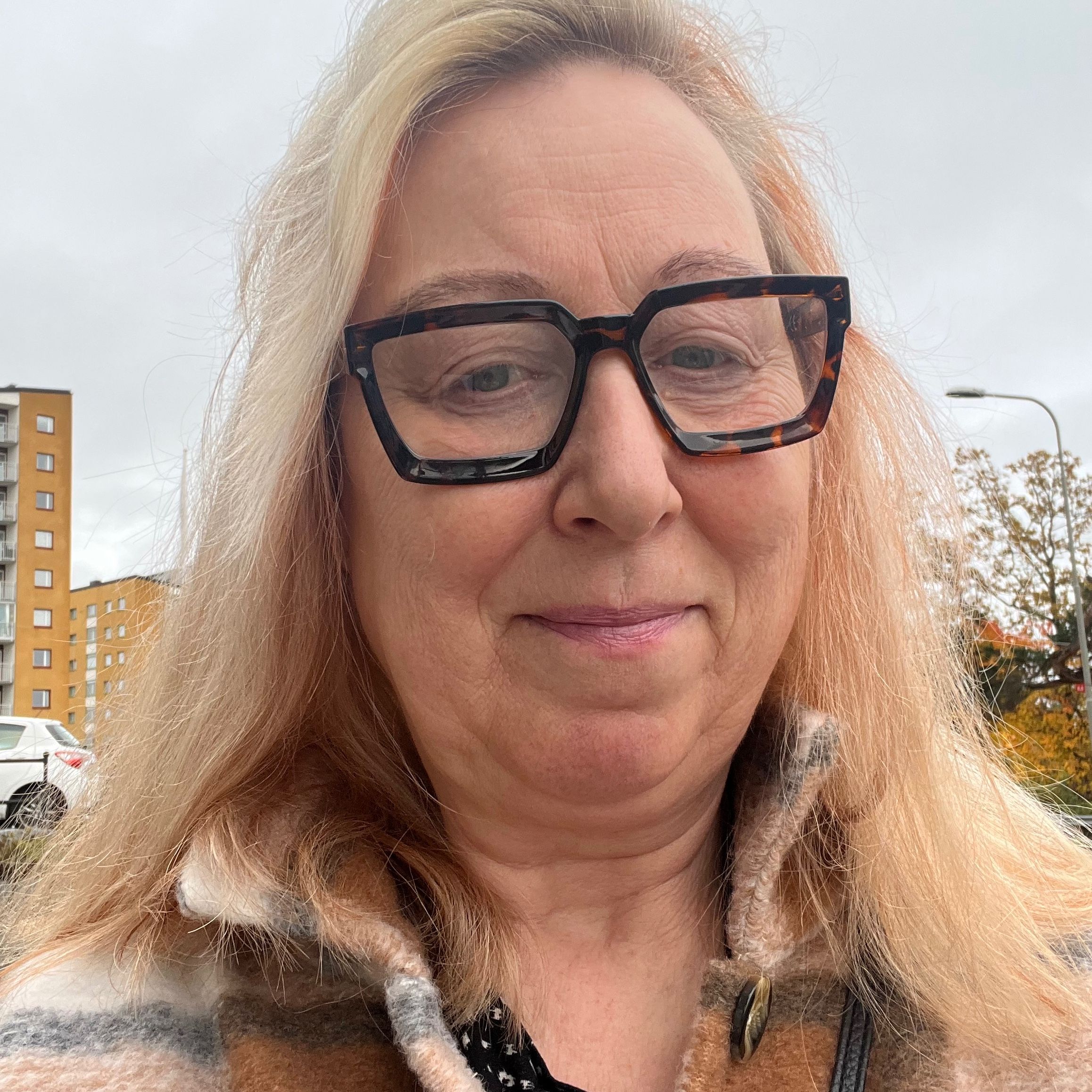 Susanne Lieberg profilbild