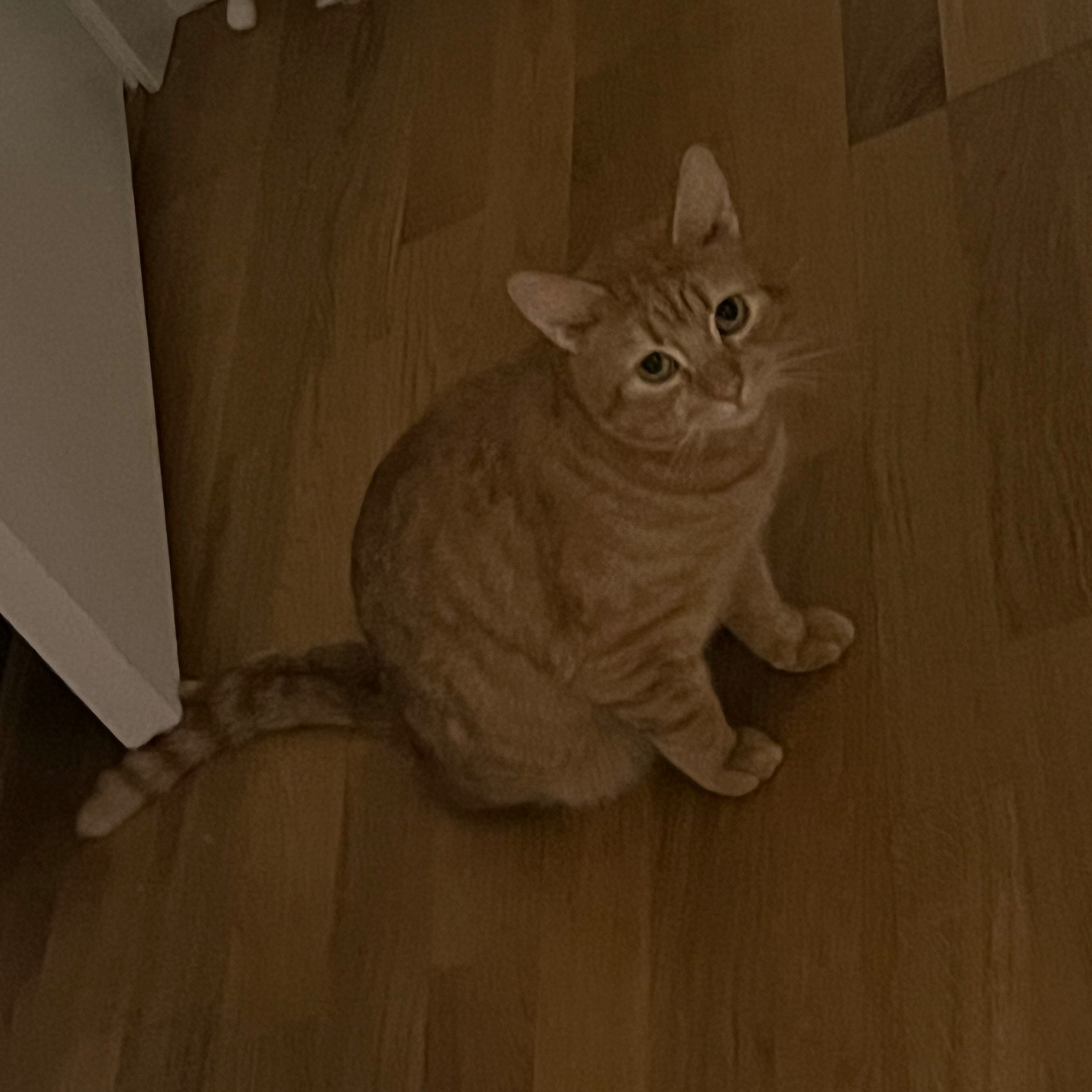 Profilbild för Marcel Chomski