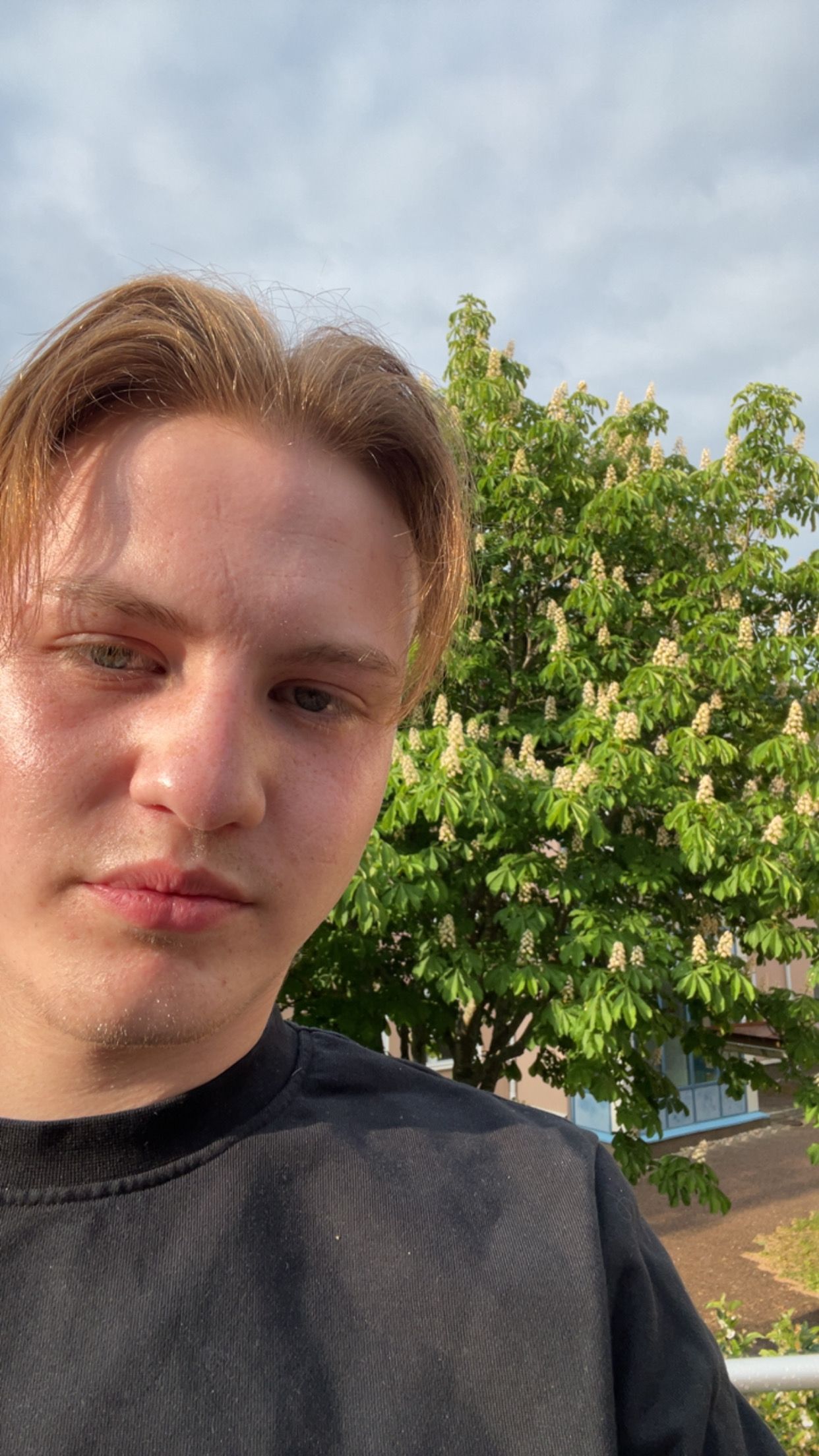 Profilbild för Viktor Höglund