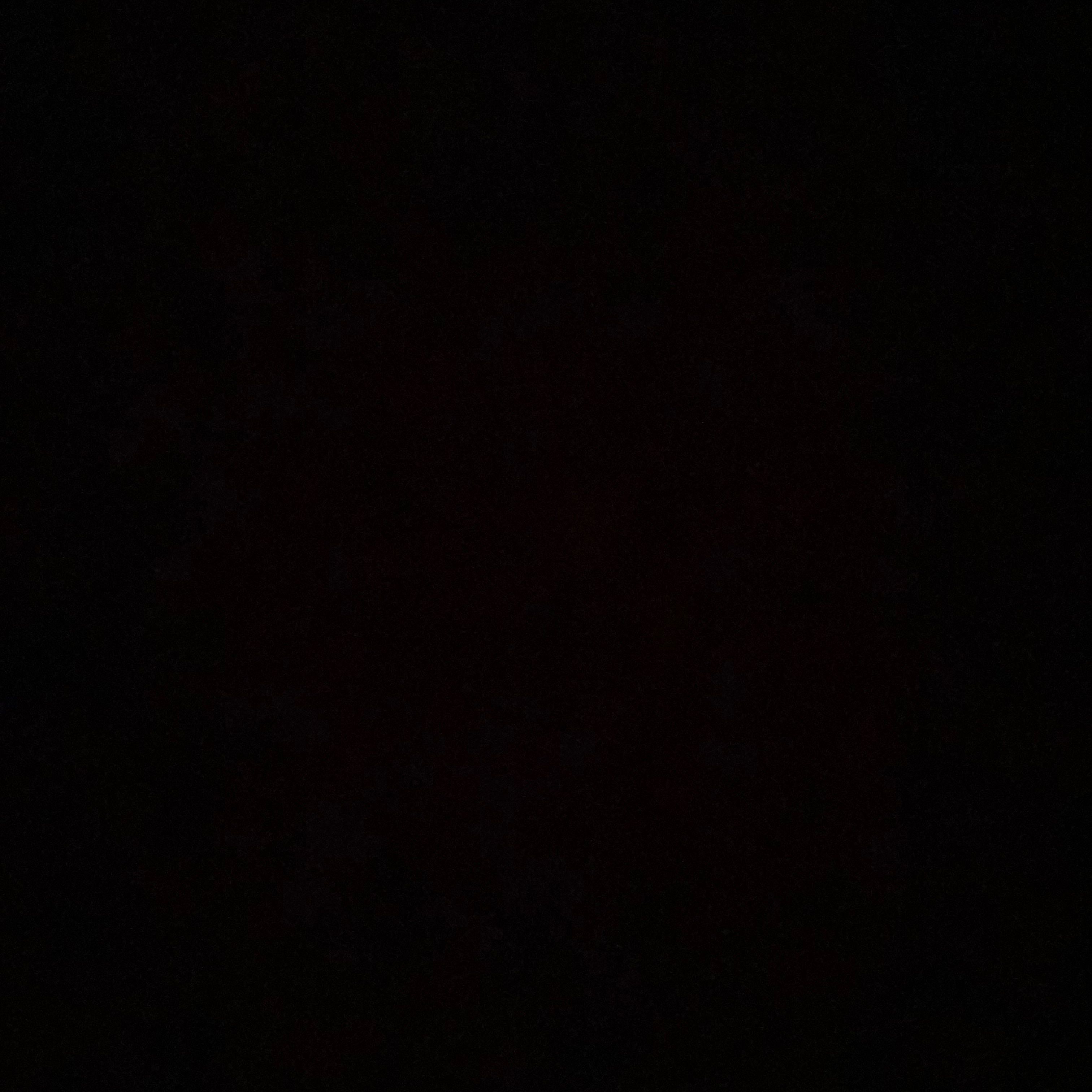 Profilbild för Linn Stalfors