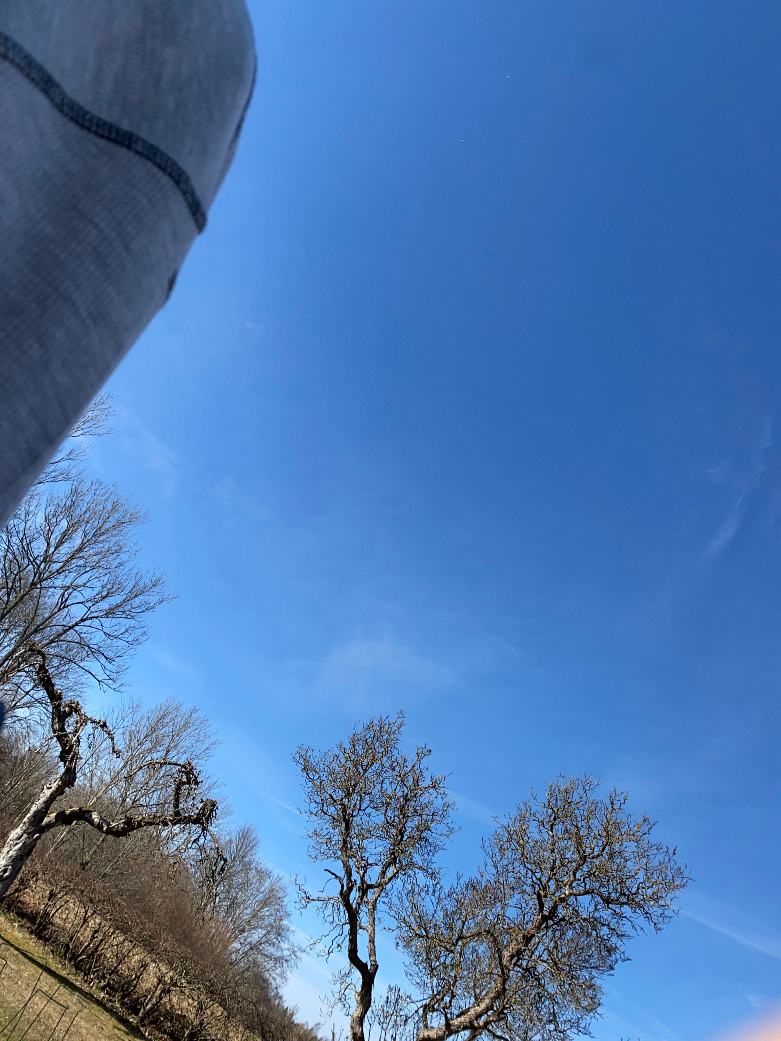 Profilbild för My Back