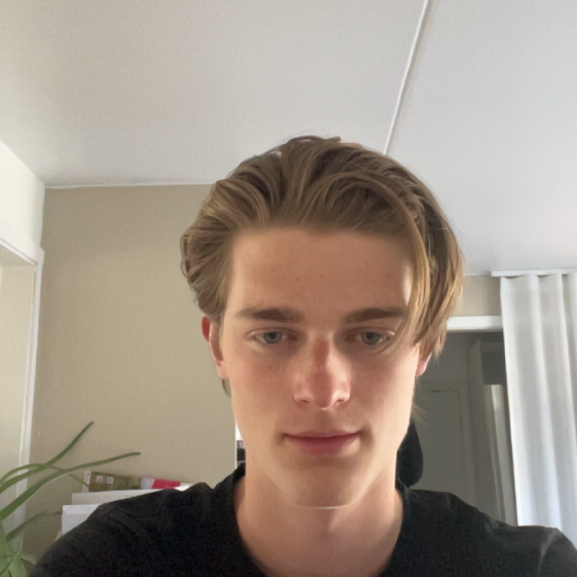 Profilbild för Otto Sjölund