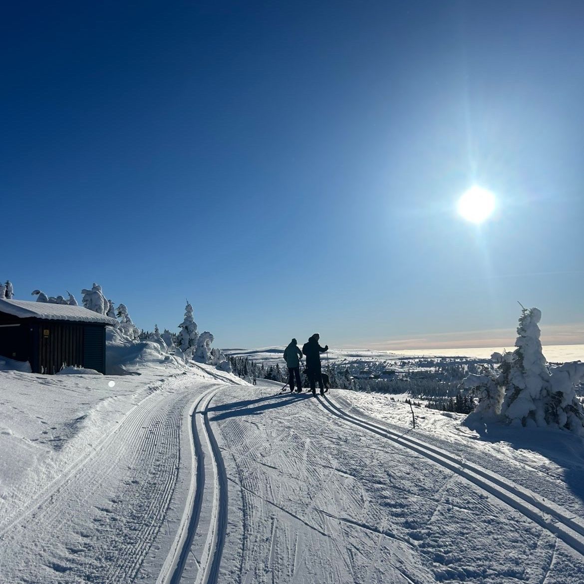 Profilbild för Kristina A