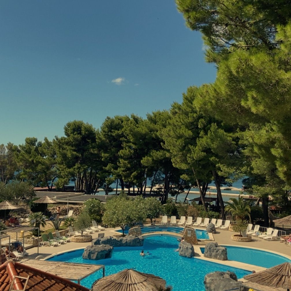 Profilbild för Anahit Shamshirzan