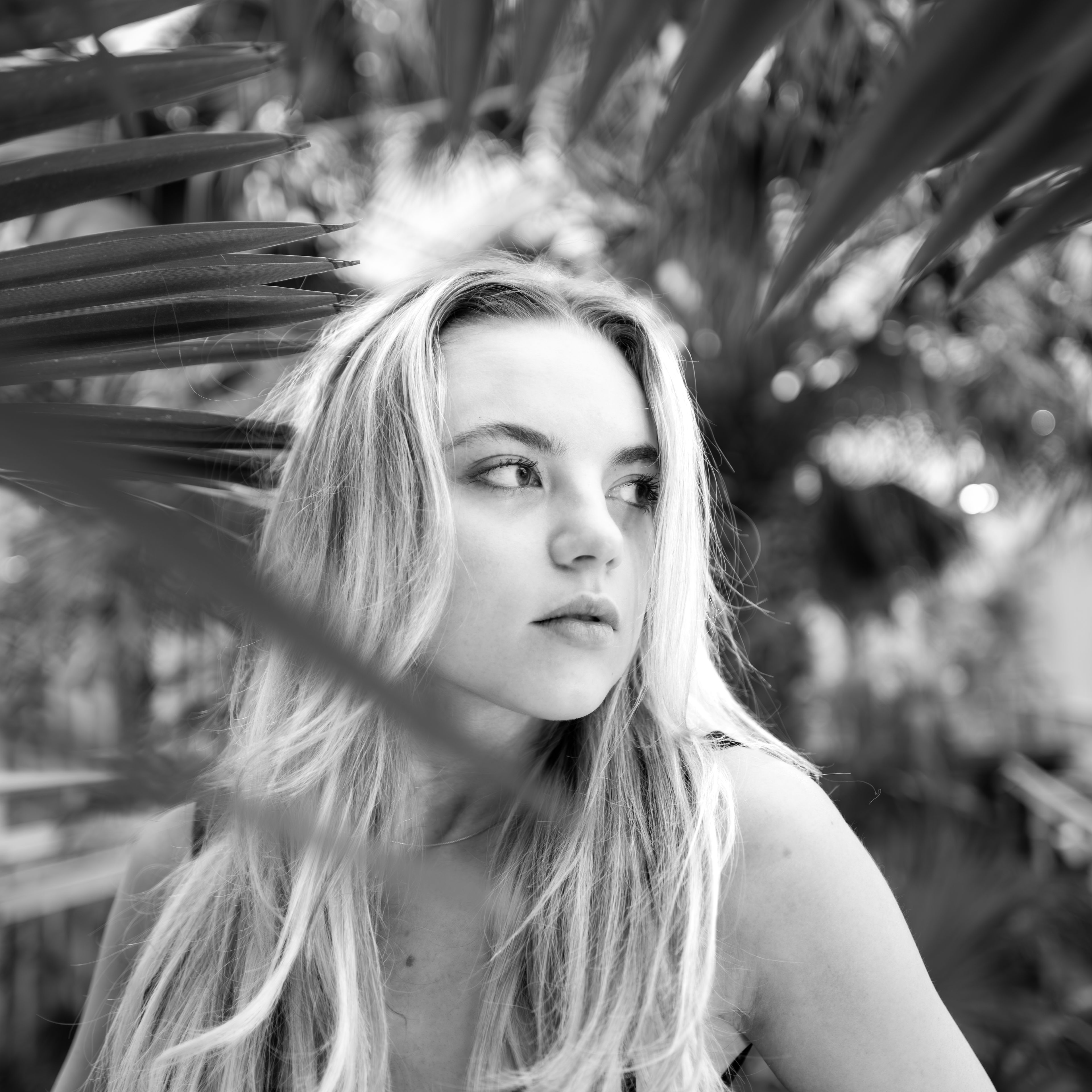 Elsa Kollander profilbild