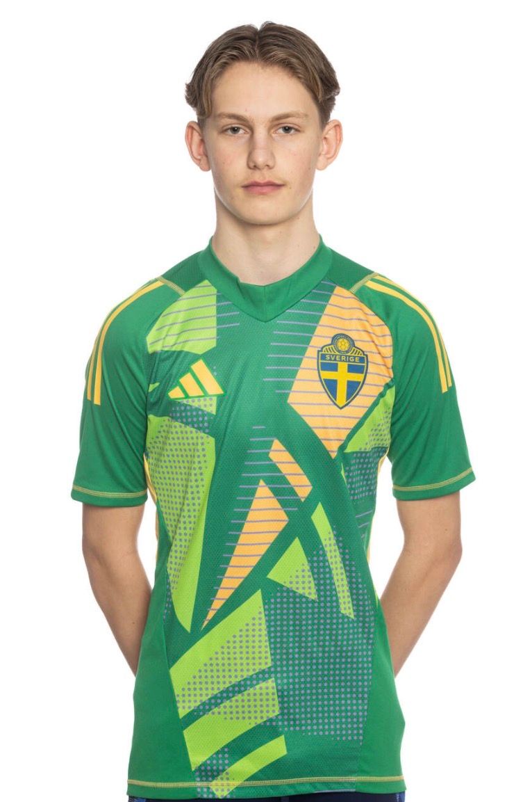 Profilbild för Amadeus Sremcevic