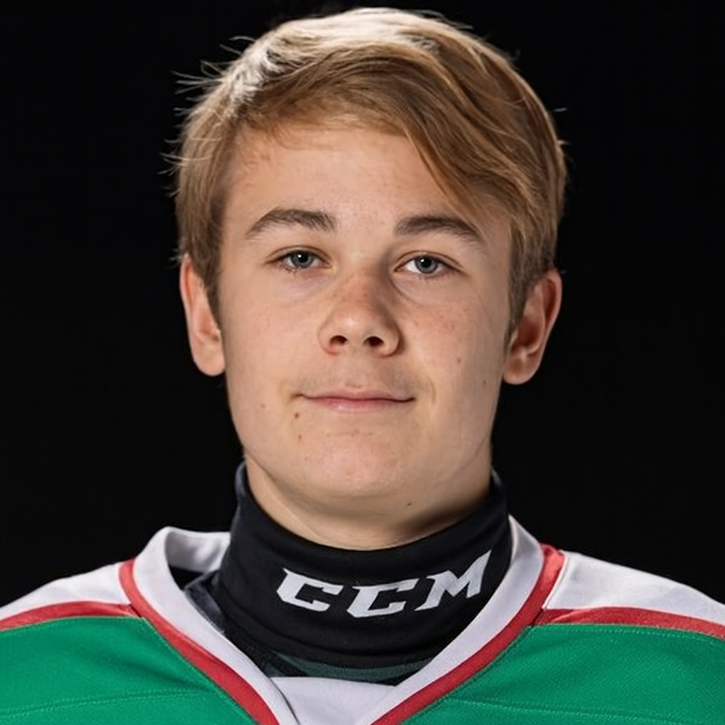 Profilbild för Gustav Hjalmarsson