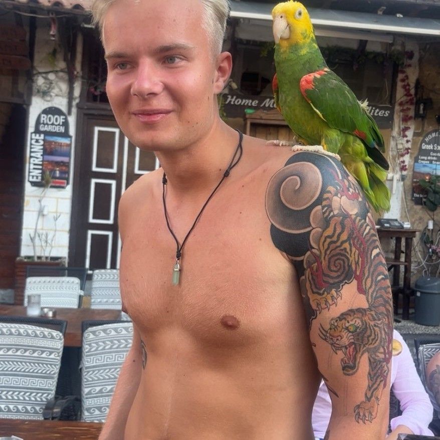 Profilbild för Emil Stjerna