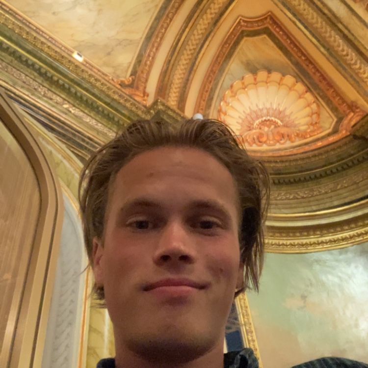 Profilbild för Leon Pergren