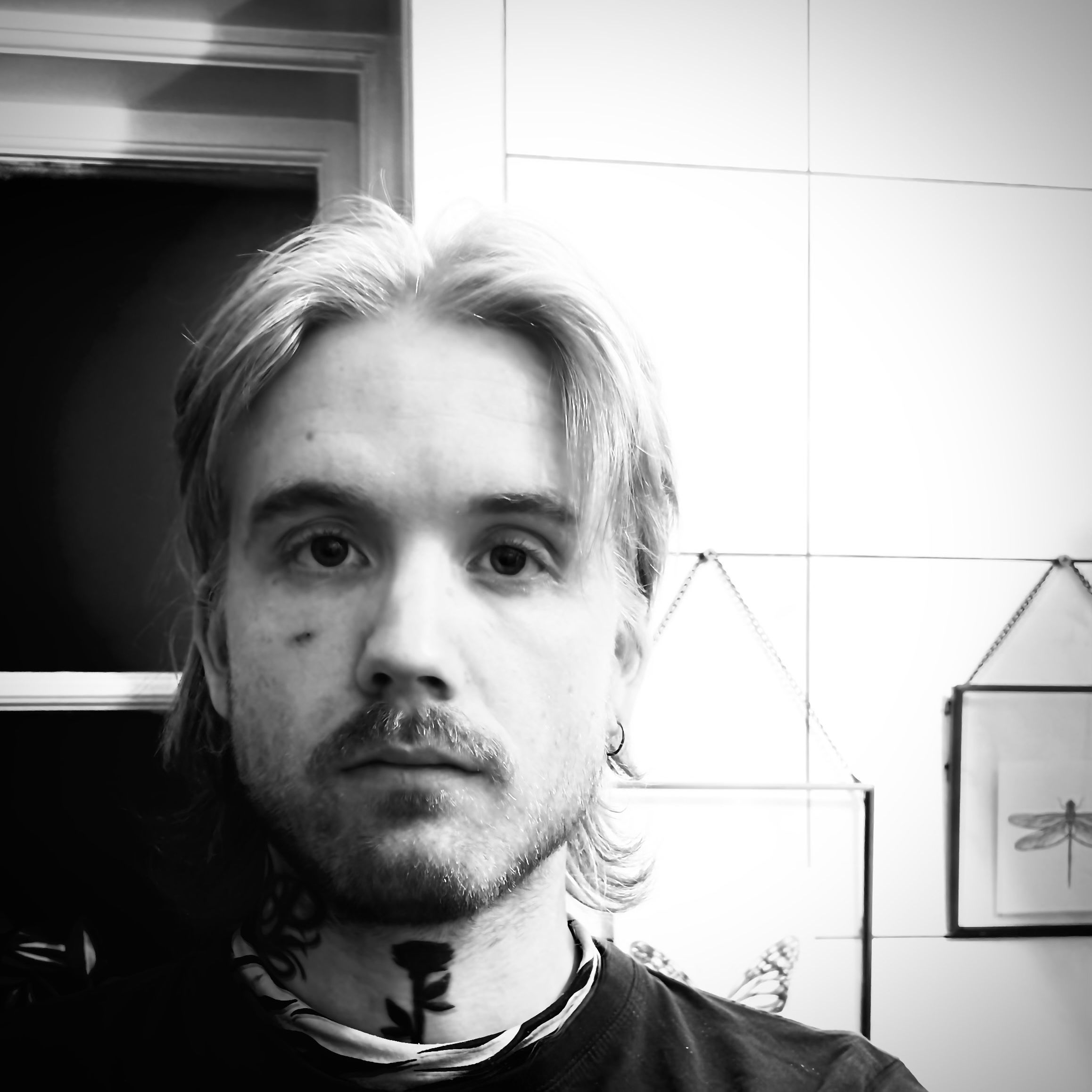 Profilbild för Sebastian Pettersson