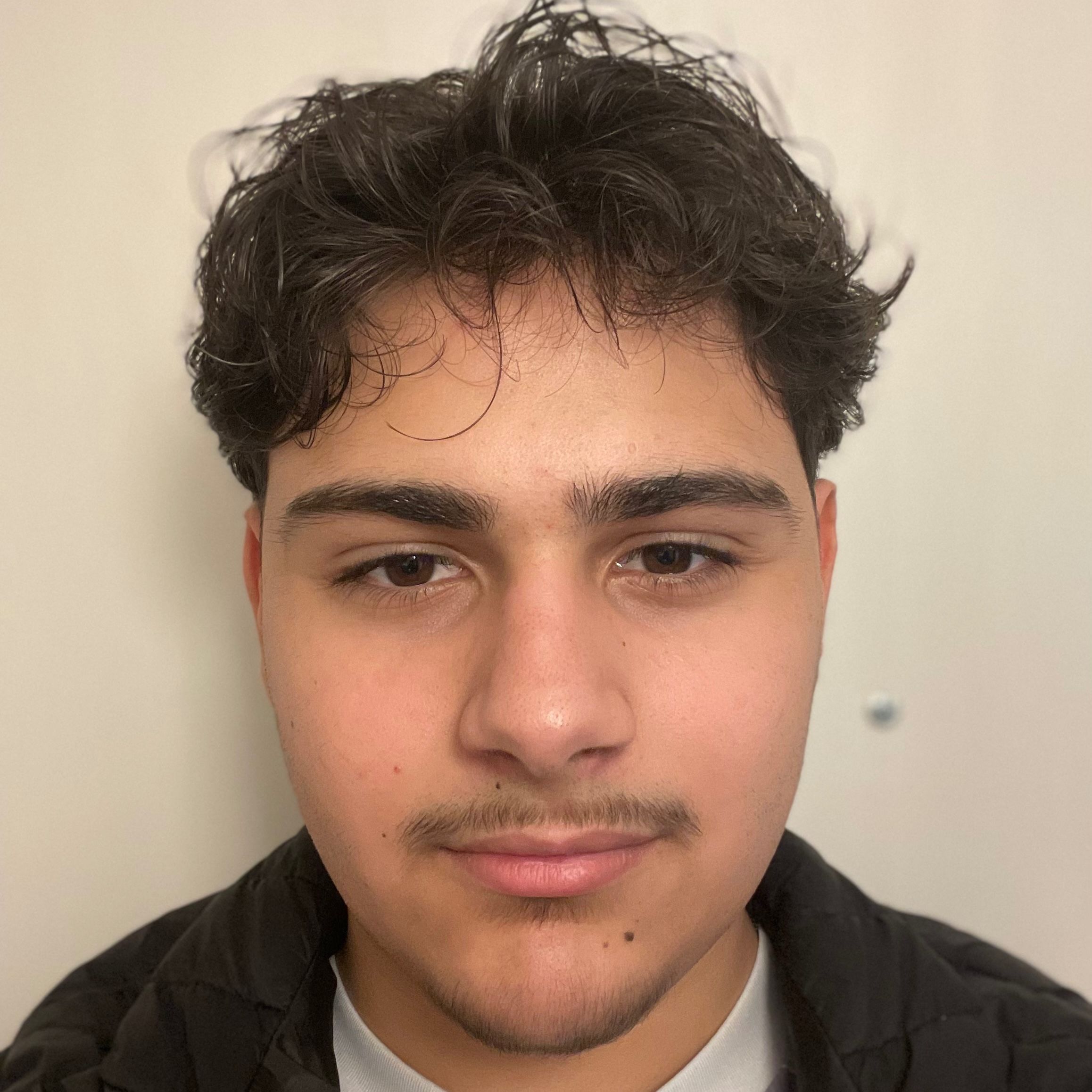 Profilbild för Taim Alholaybi