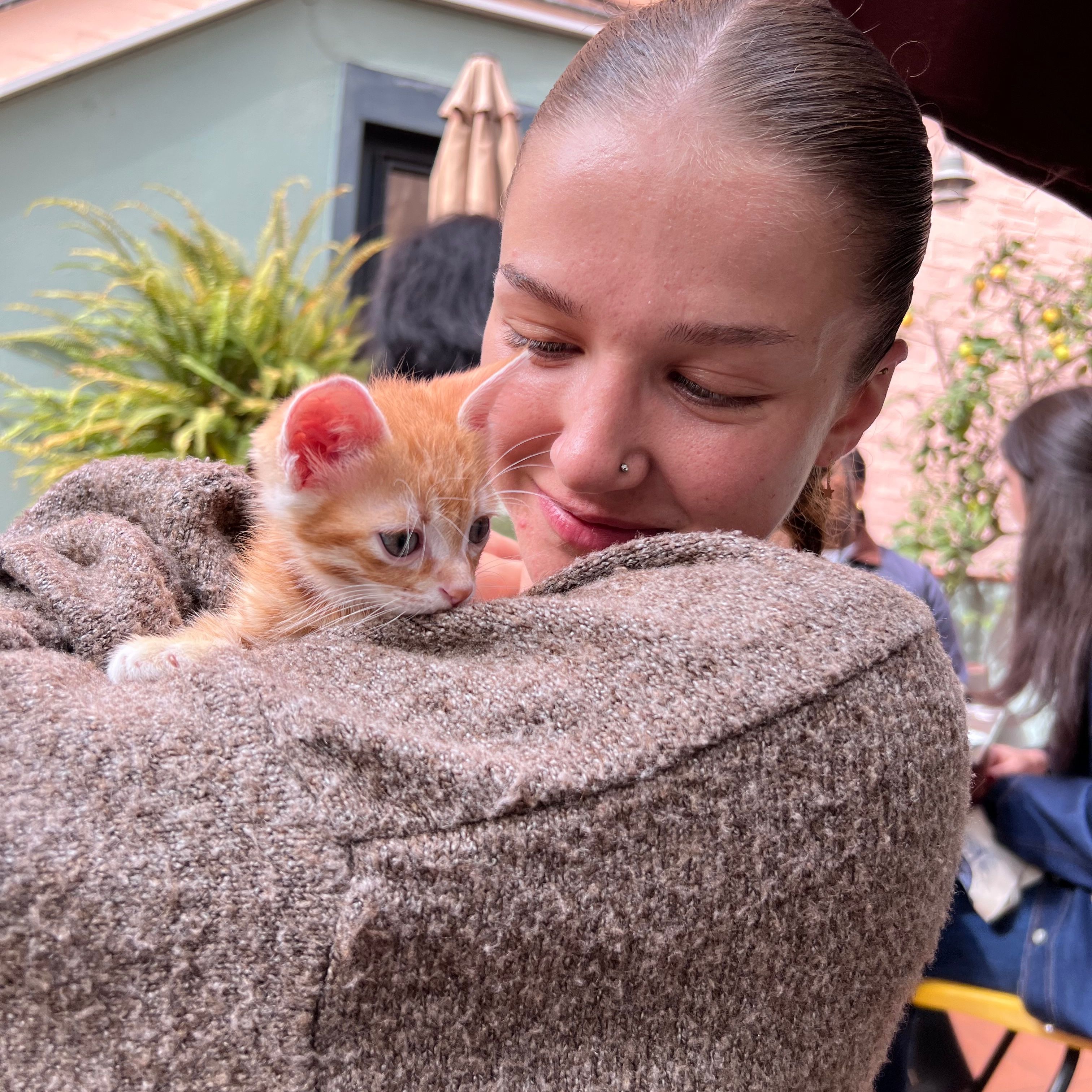 Profilbild för Deniz Flener