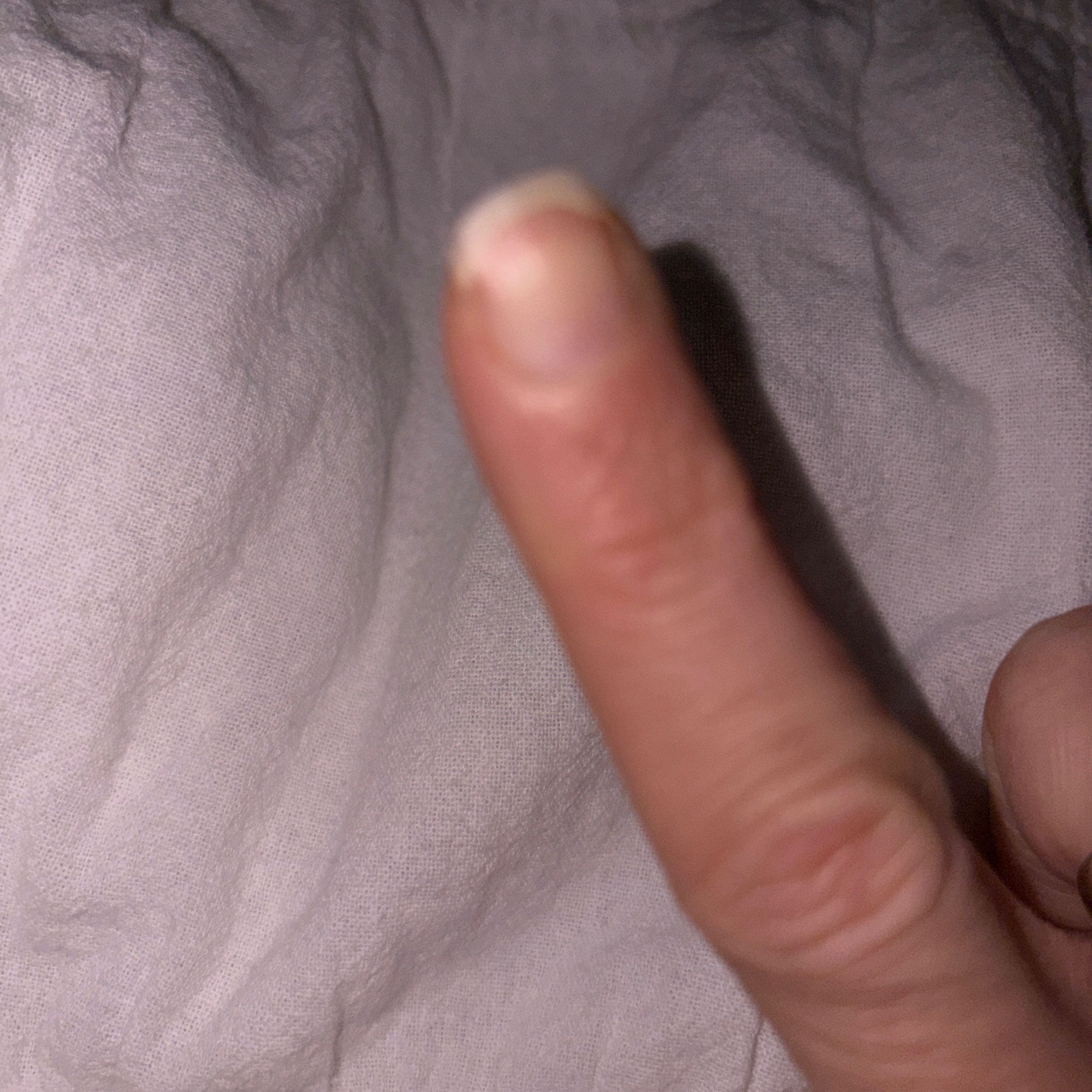 Profilbild för Koko Snook