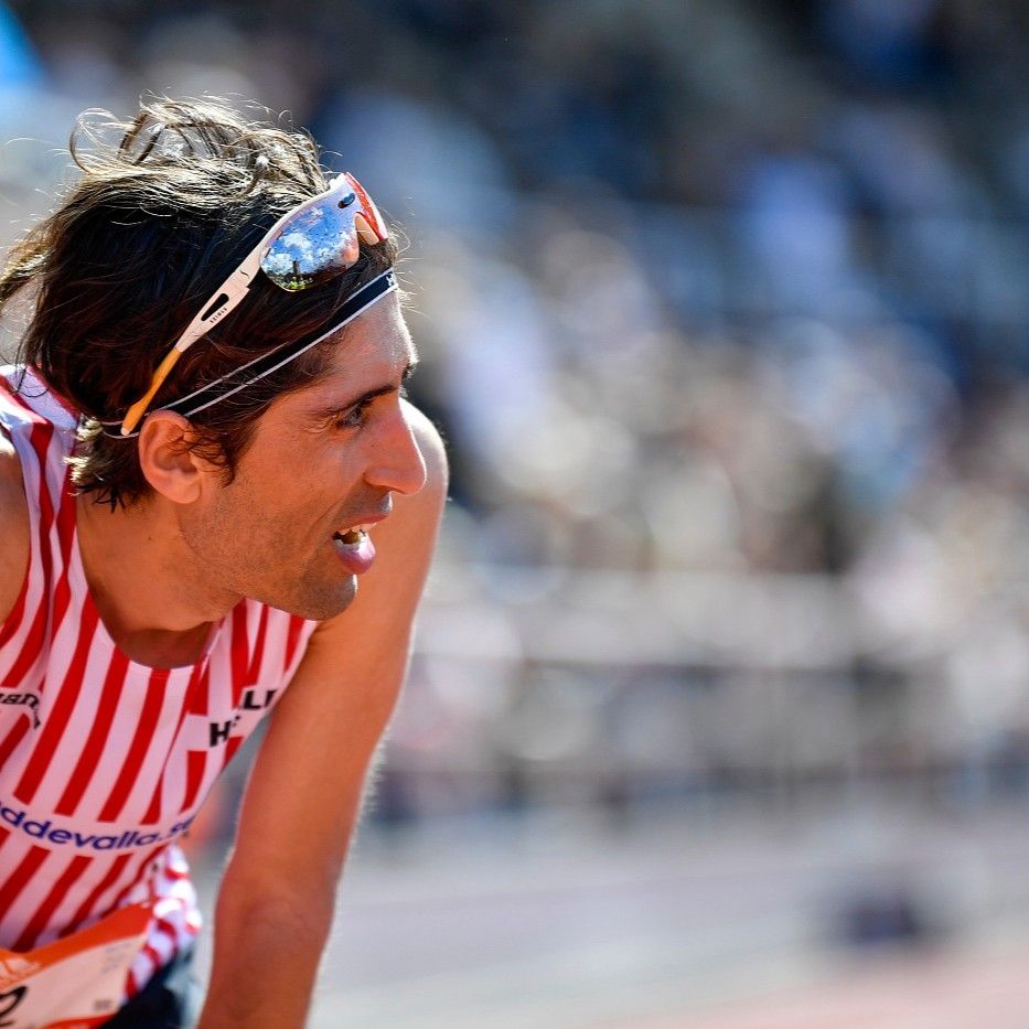 Profilbild för Tony Hatefnejad