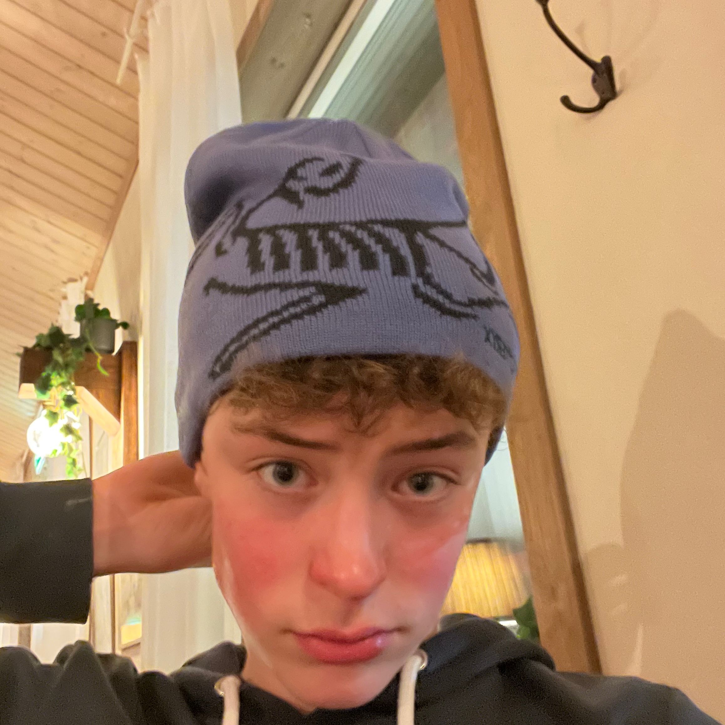 Profilbild för Noel Ulander