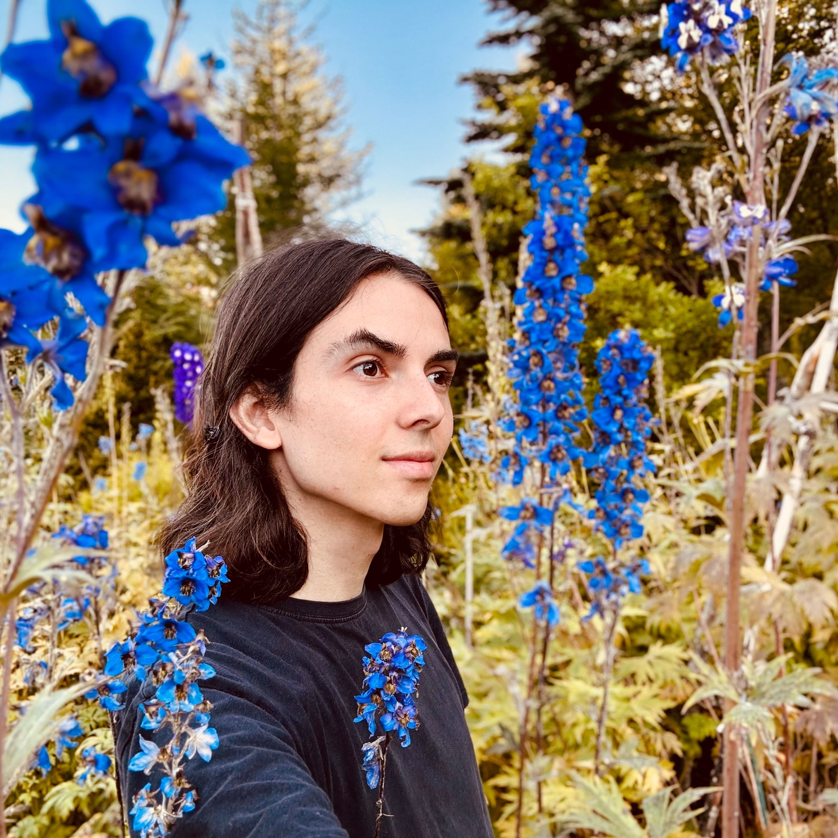 Profilbild för Edo Sodd