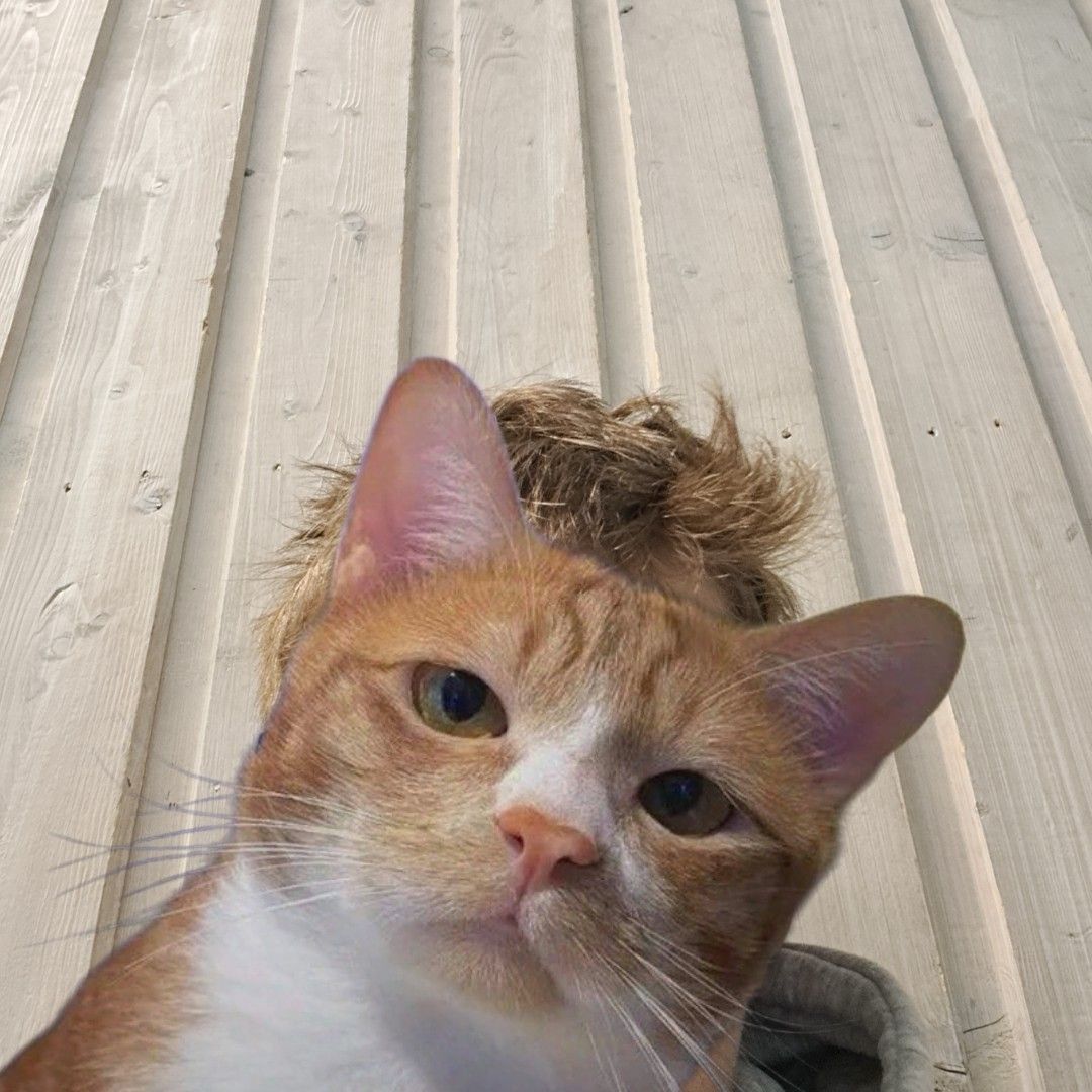 Profilbild för Emil Svensson