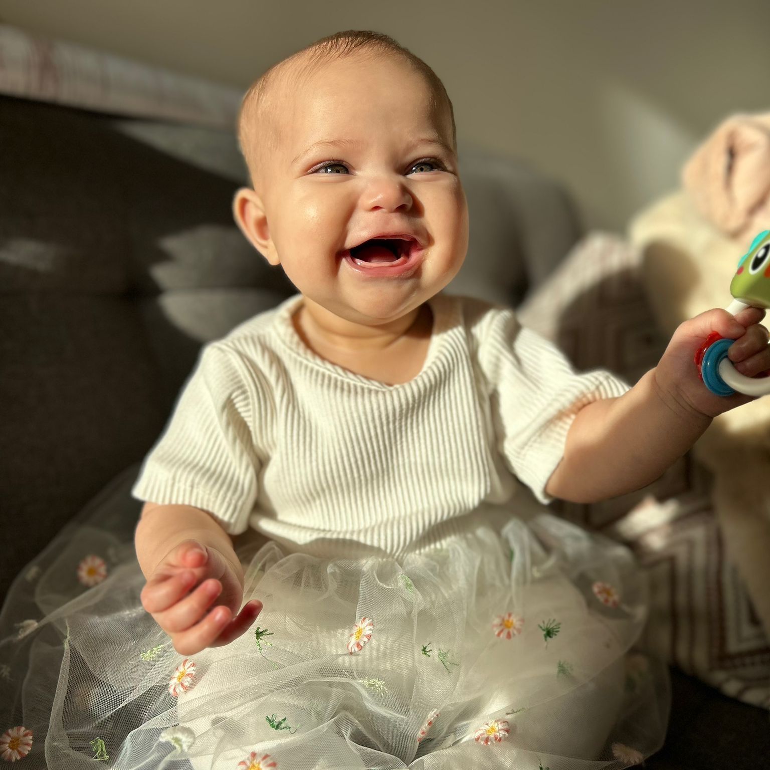 Profilbild för Nouran Upa