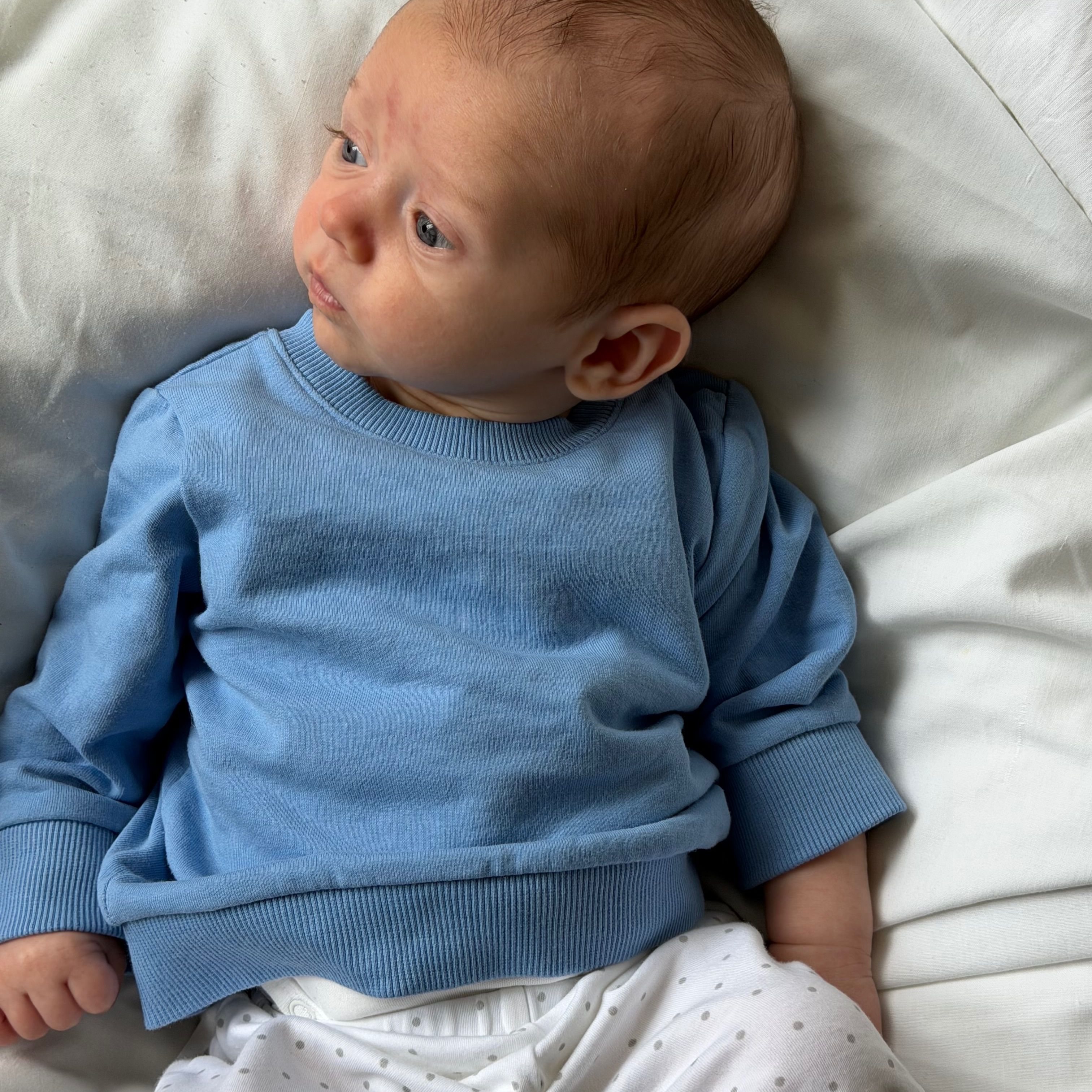 Profilbild för Elis Ullberg Thomasson