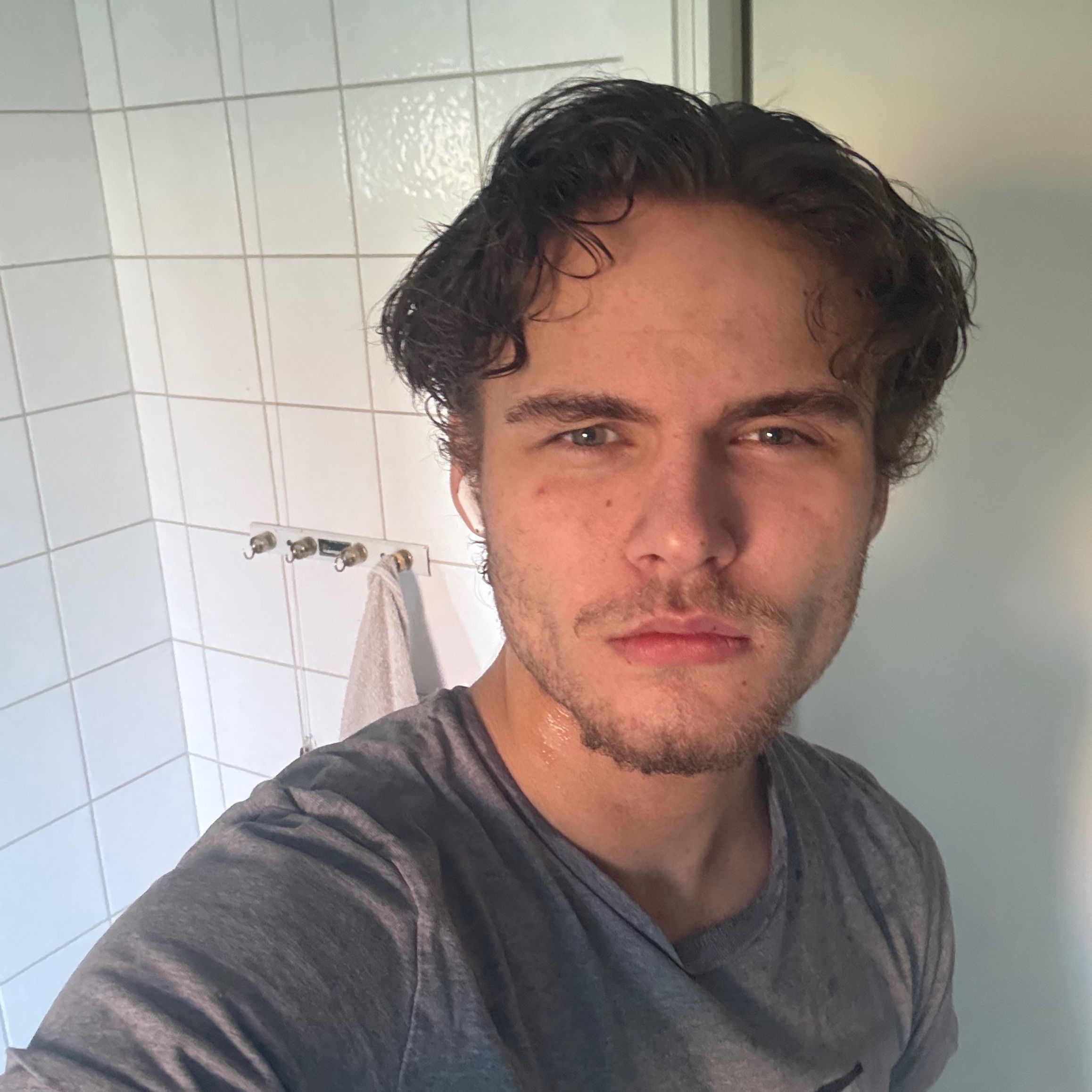 Profilbild för Theodor Hagström