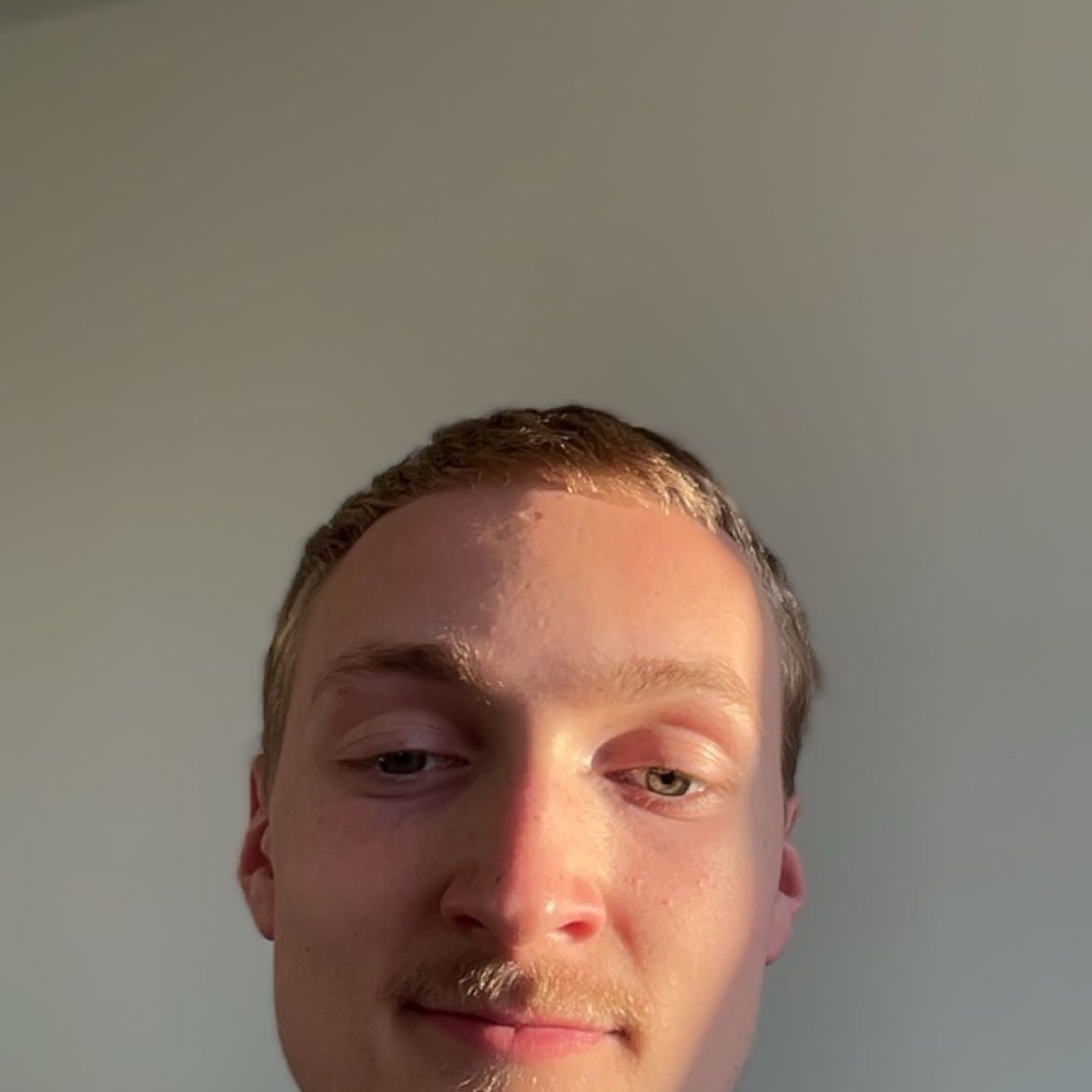 Profilbild för Fenix Wiberg