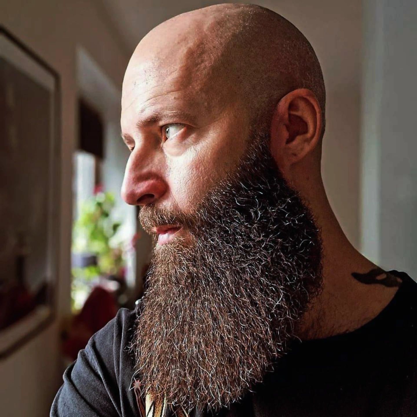 Profilbild för Anders Gaga Olsson