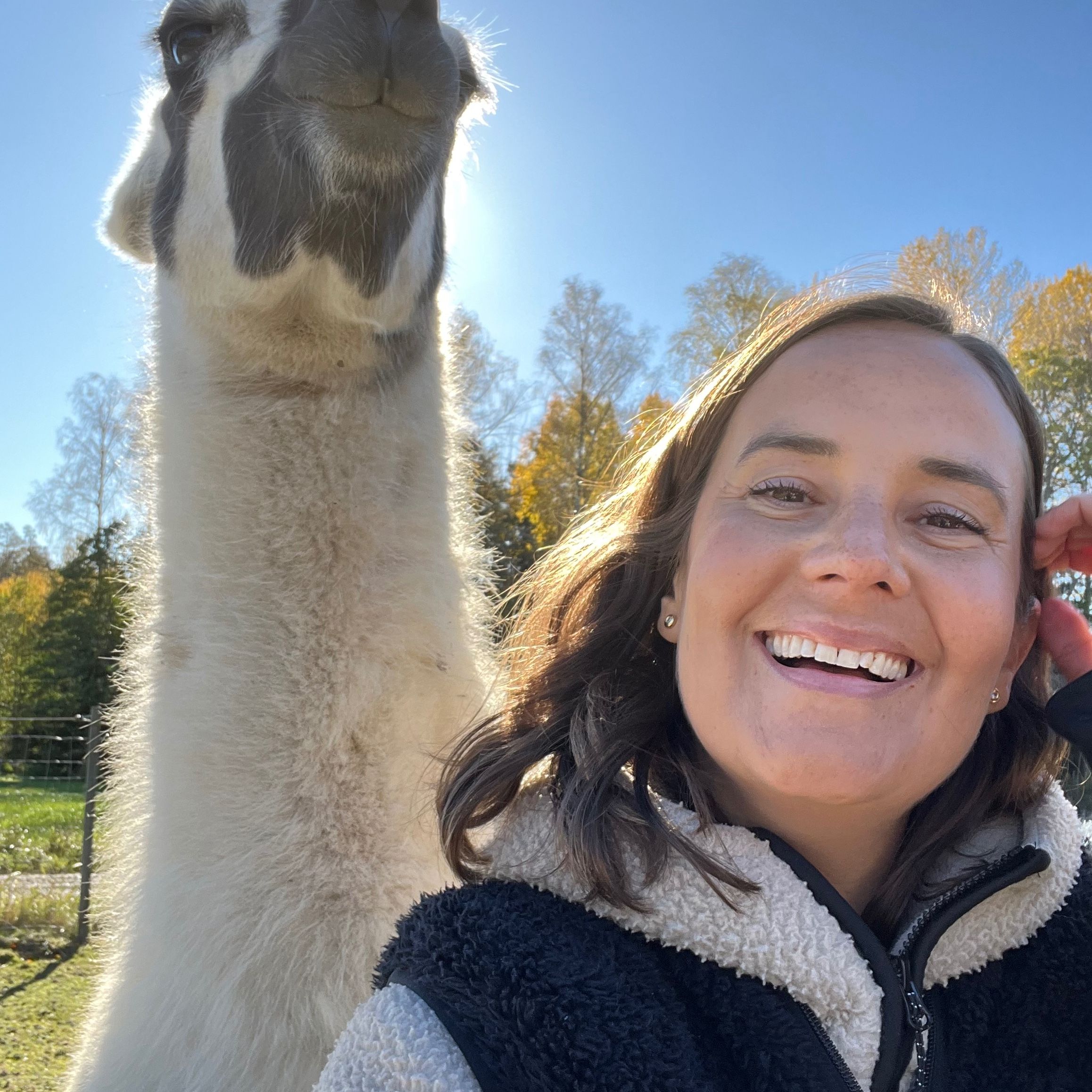 Profilbild för Svea Sigmond